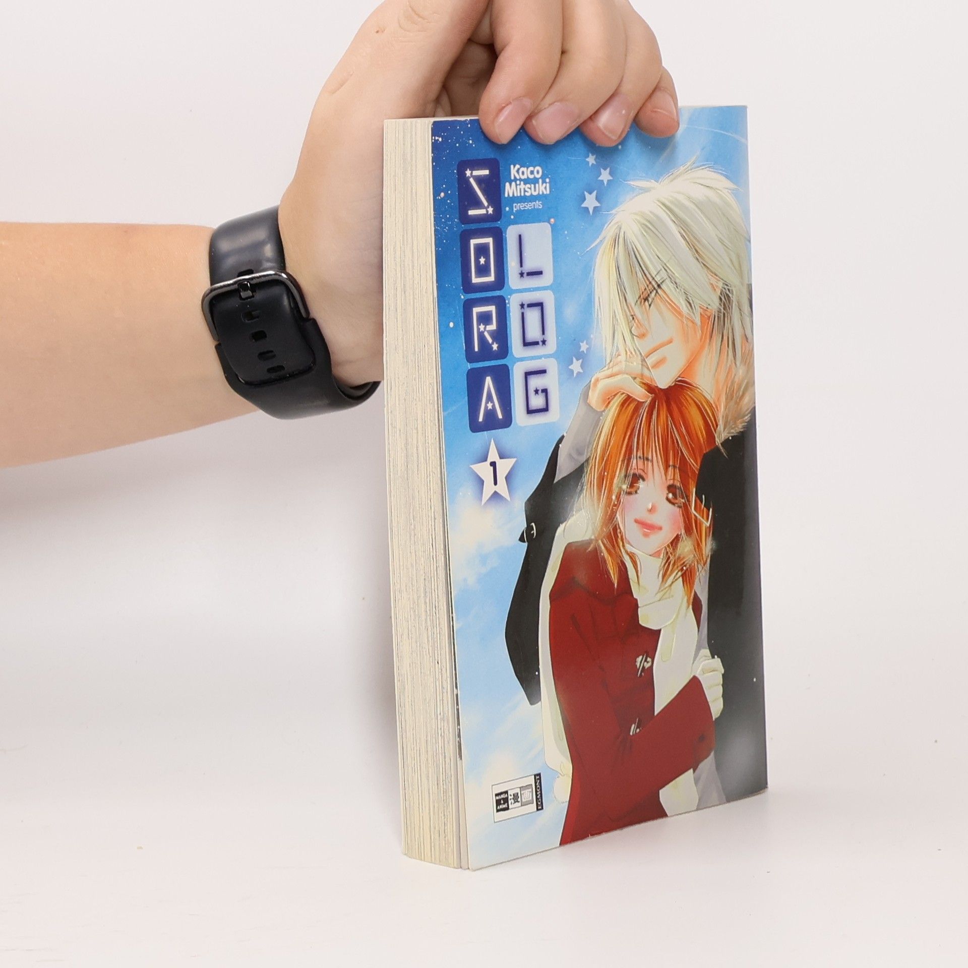 Collectif d'auteurs Sora log