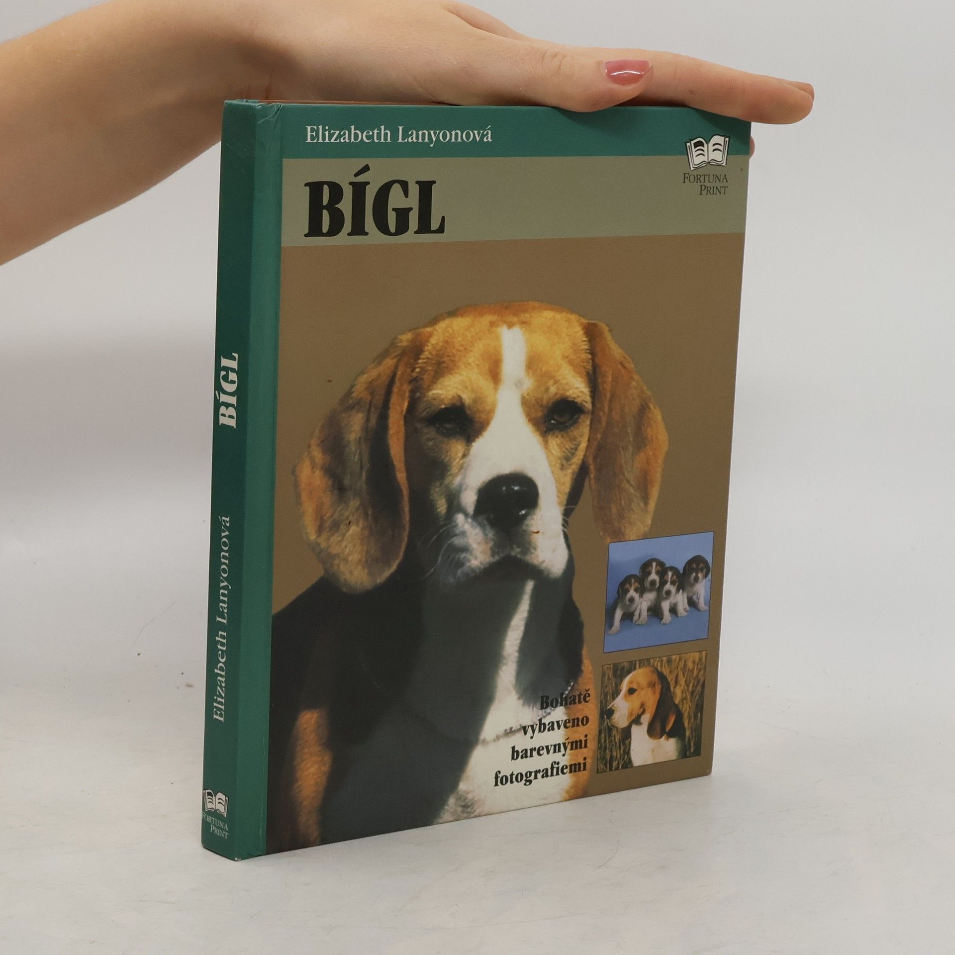 Elizabeth Lanyon Bígl