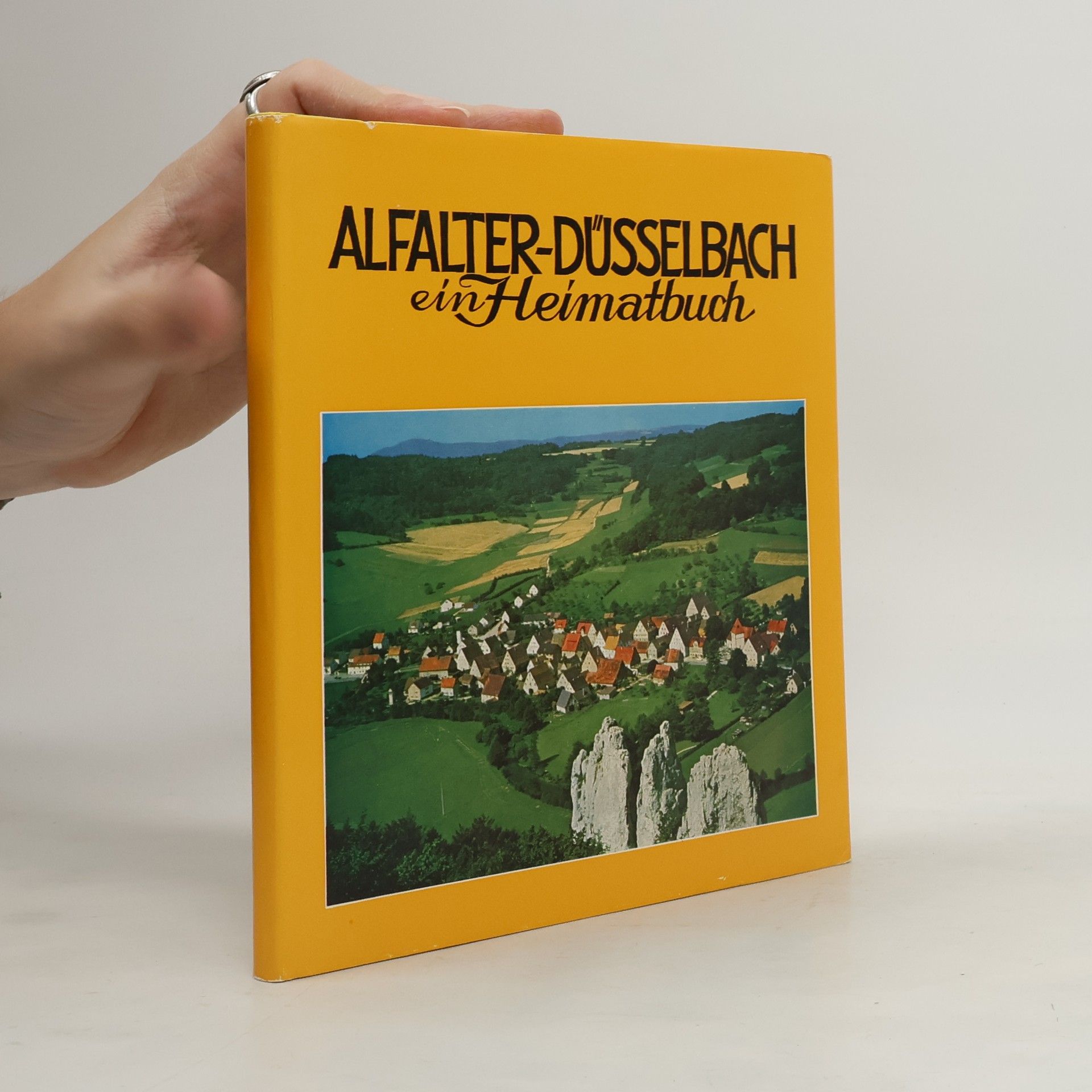 Wilhelm Schwemmer Alfalter-Düsselbach. Ein Heimatbuch