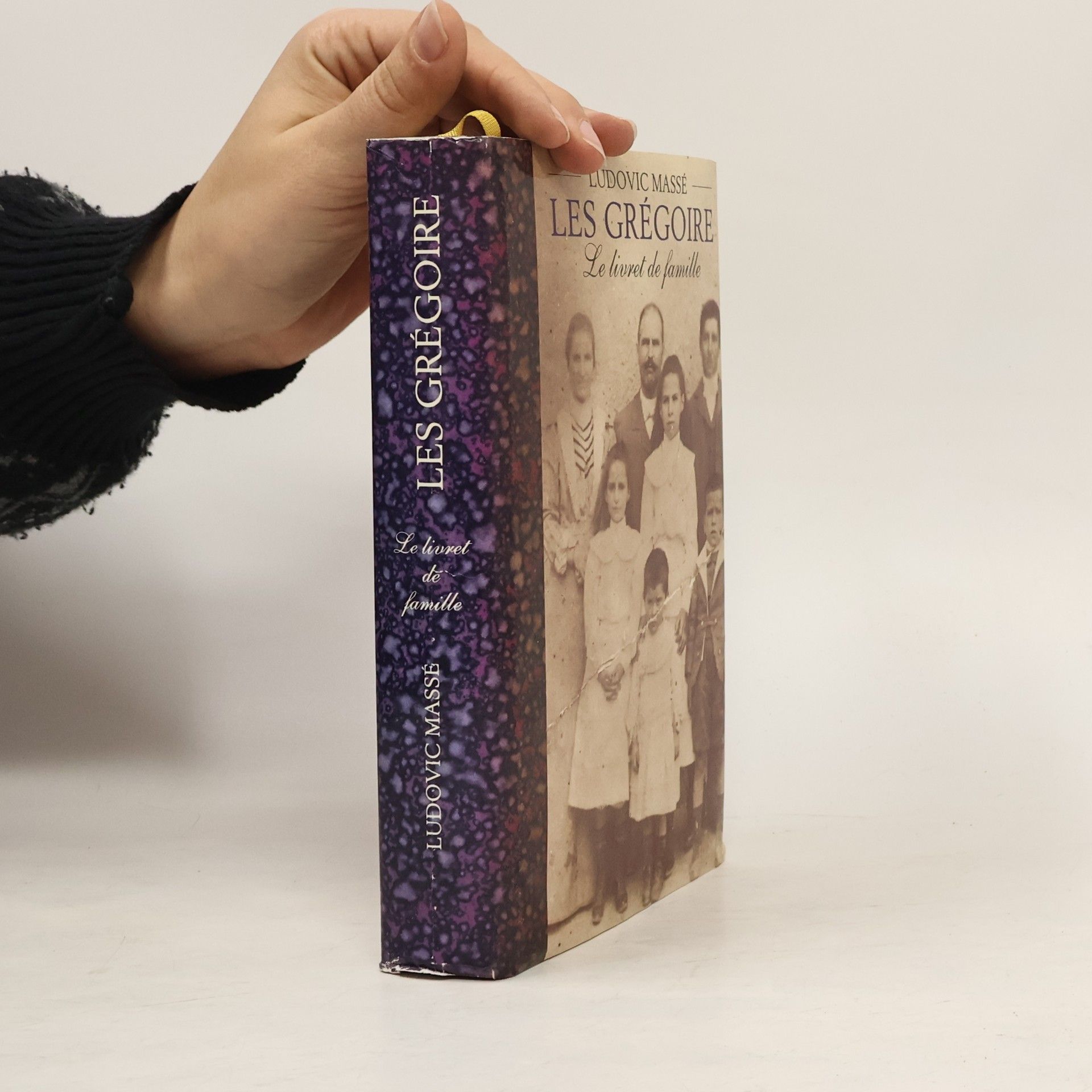 Ludovic Massé Le livret de famille