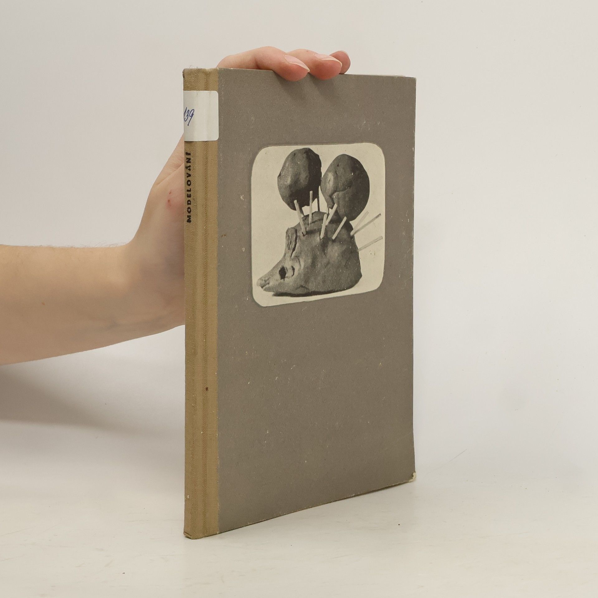 Modelování z hlíny a jiných tvárlivých hmot na školách pro mládež vyžadující zvláštní péče