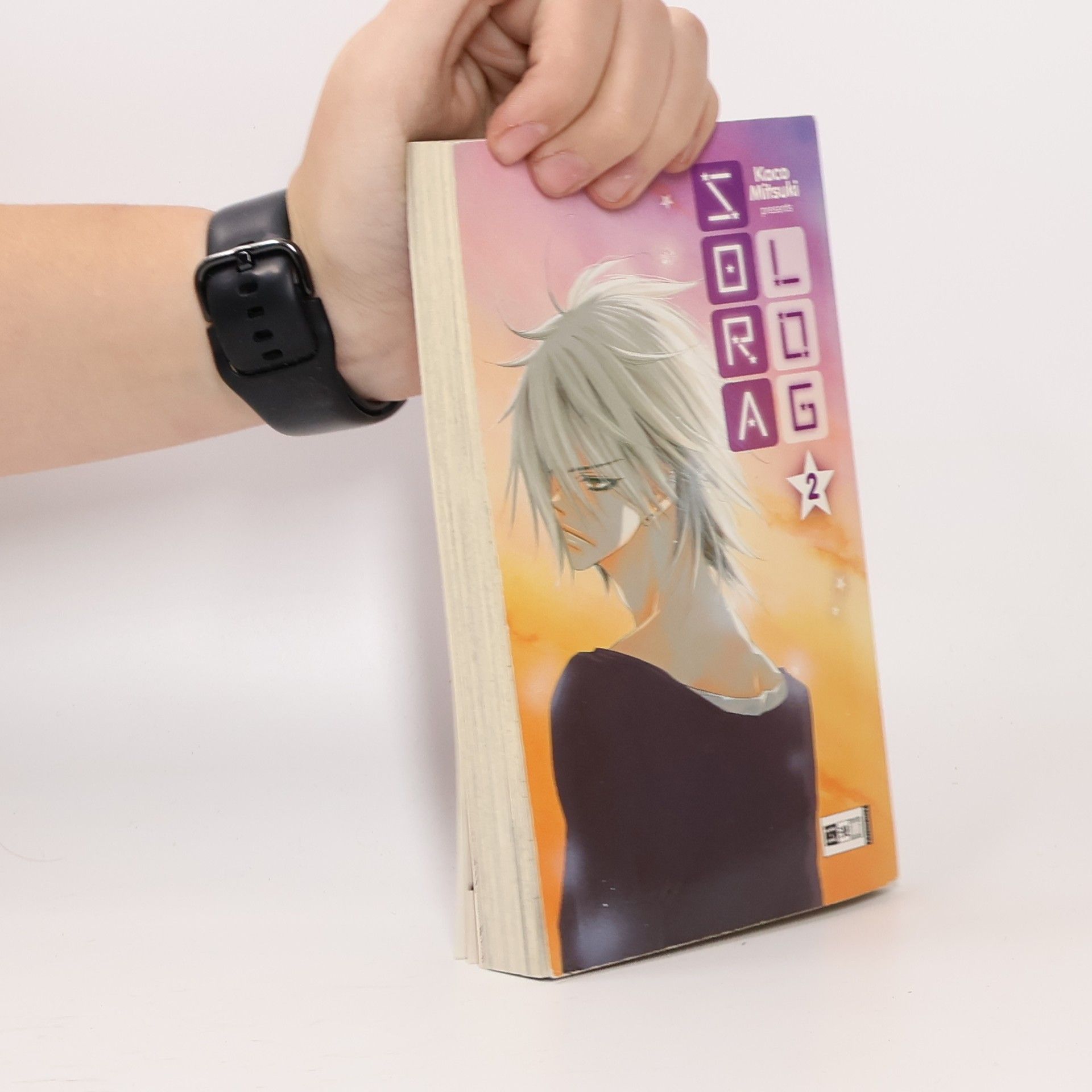 Collectif d'auteurs Sora log