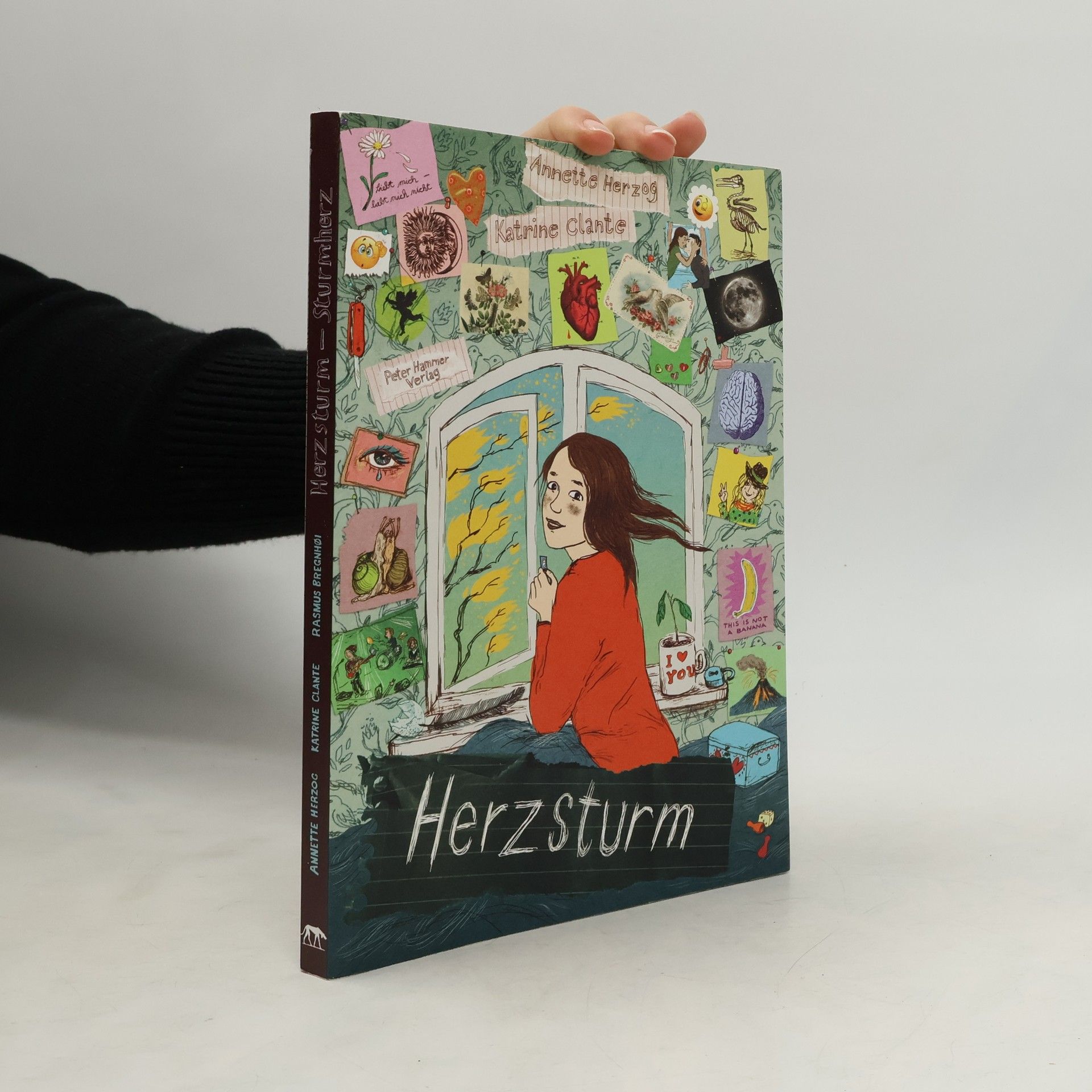Herzsturm