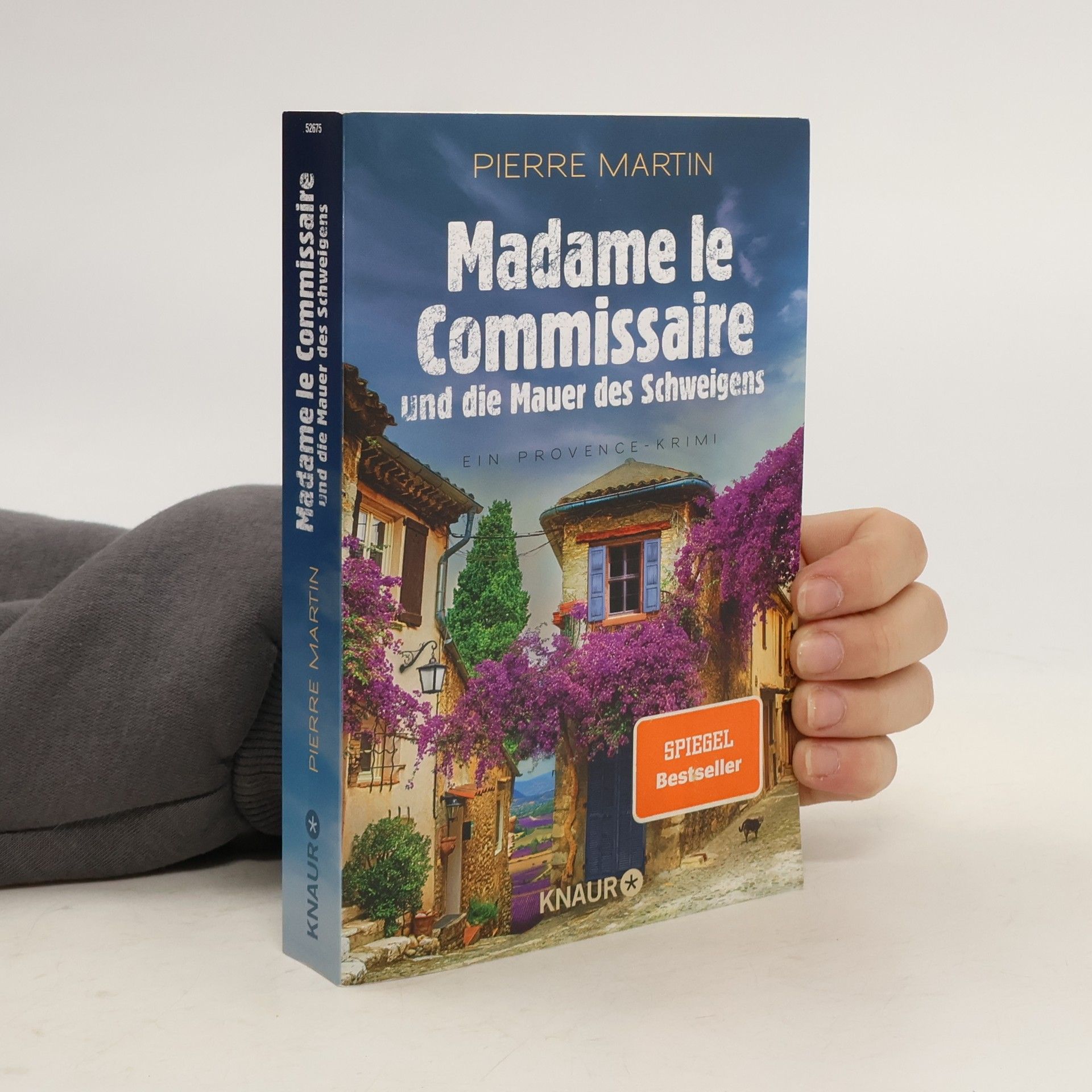 Pierre Martin Madame le Commissaire und die Mauer des Schweigens