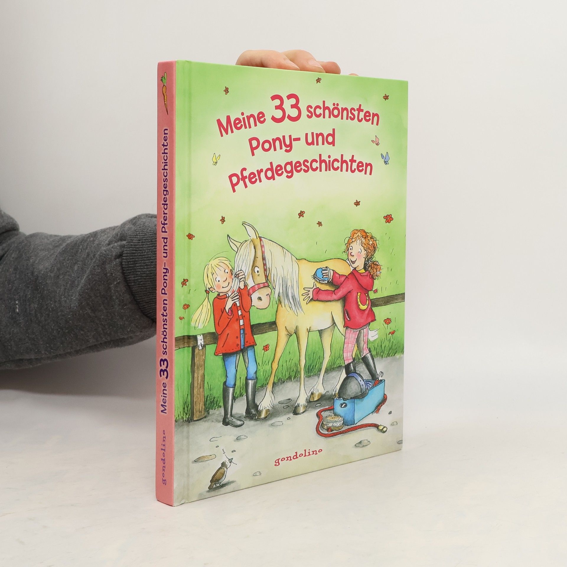 Autorenkollektiv Meine 33 schönsten Pony- und Pferdegeschichten