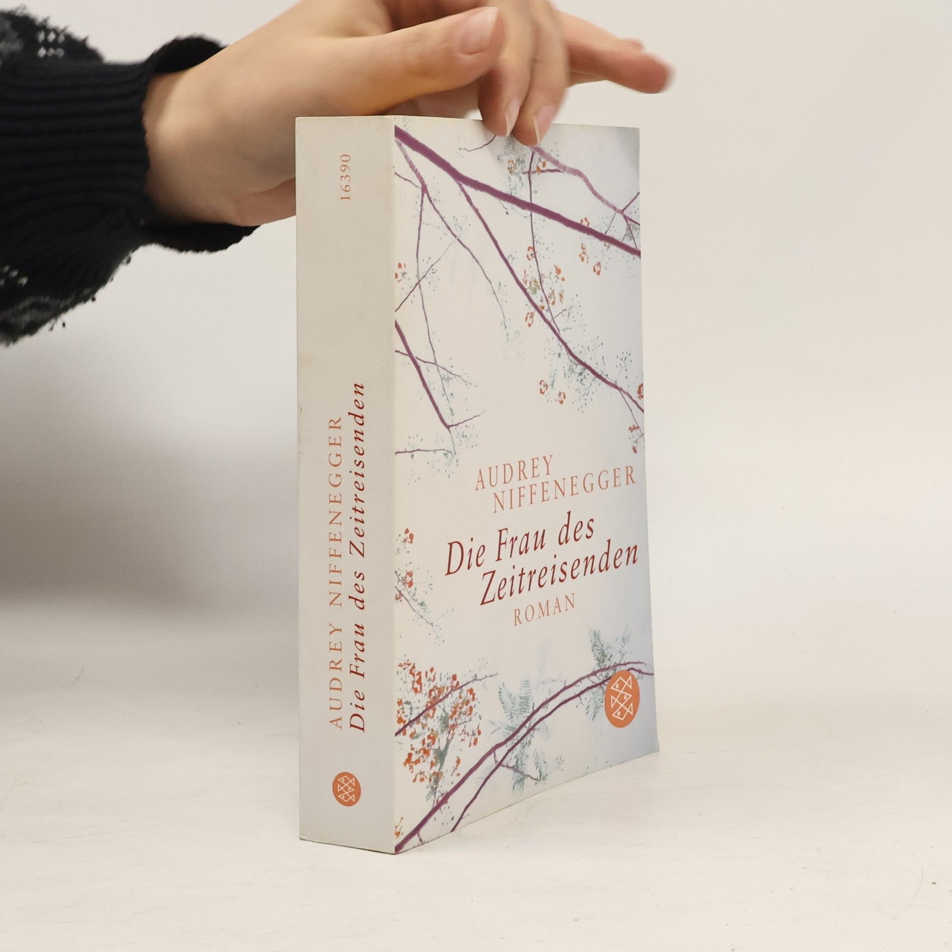 Audrey Niffenegger Die Frau des Zeitreisenden