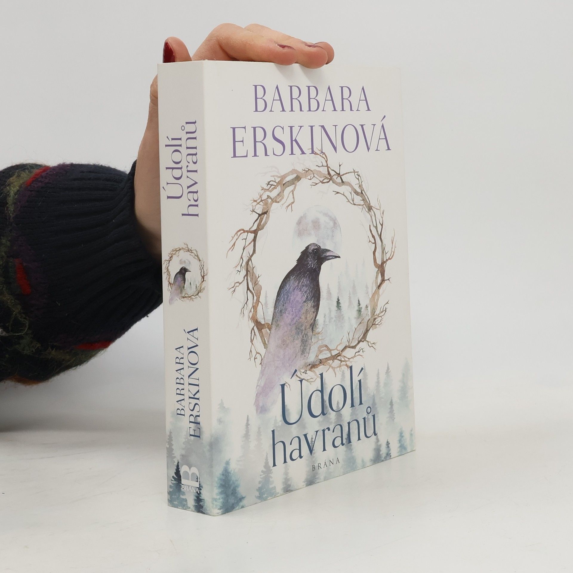 Barbara Erskinová Údolí havranů