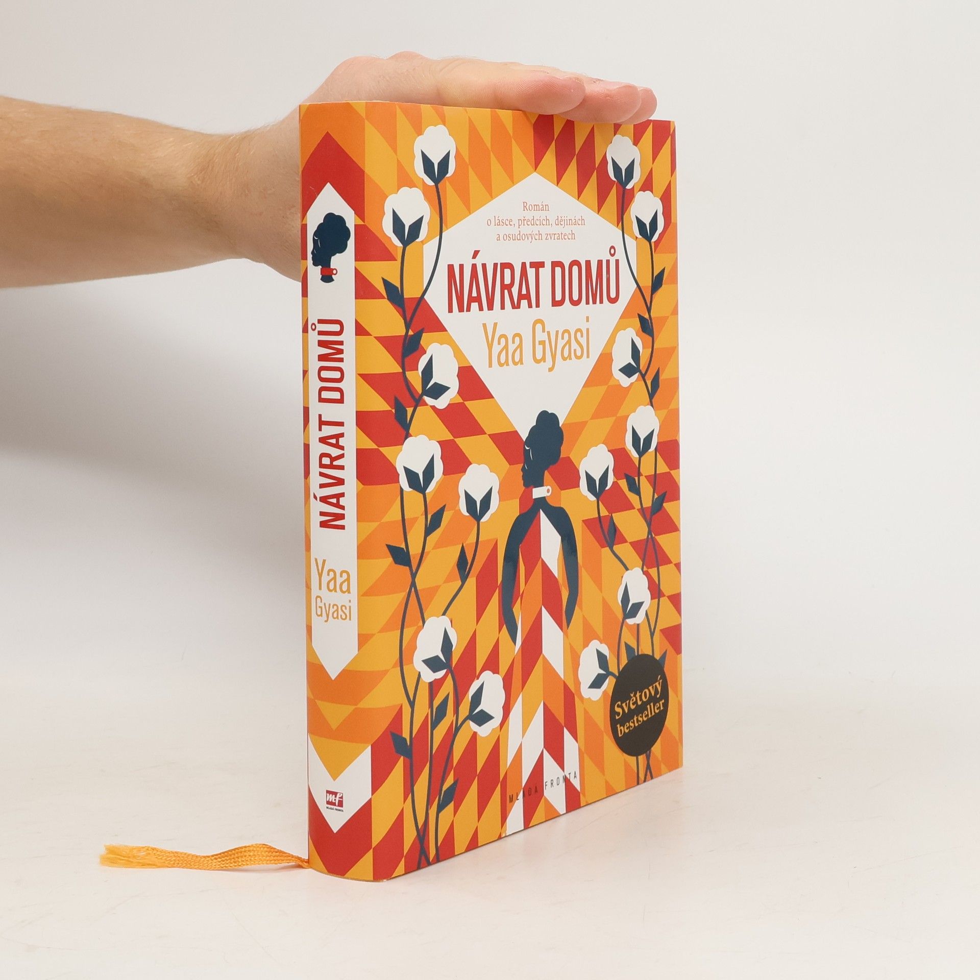 Yaa Gyasi Návrat domů