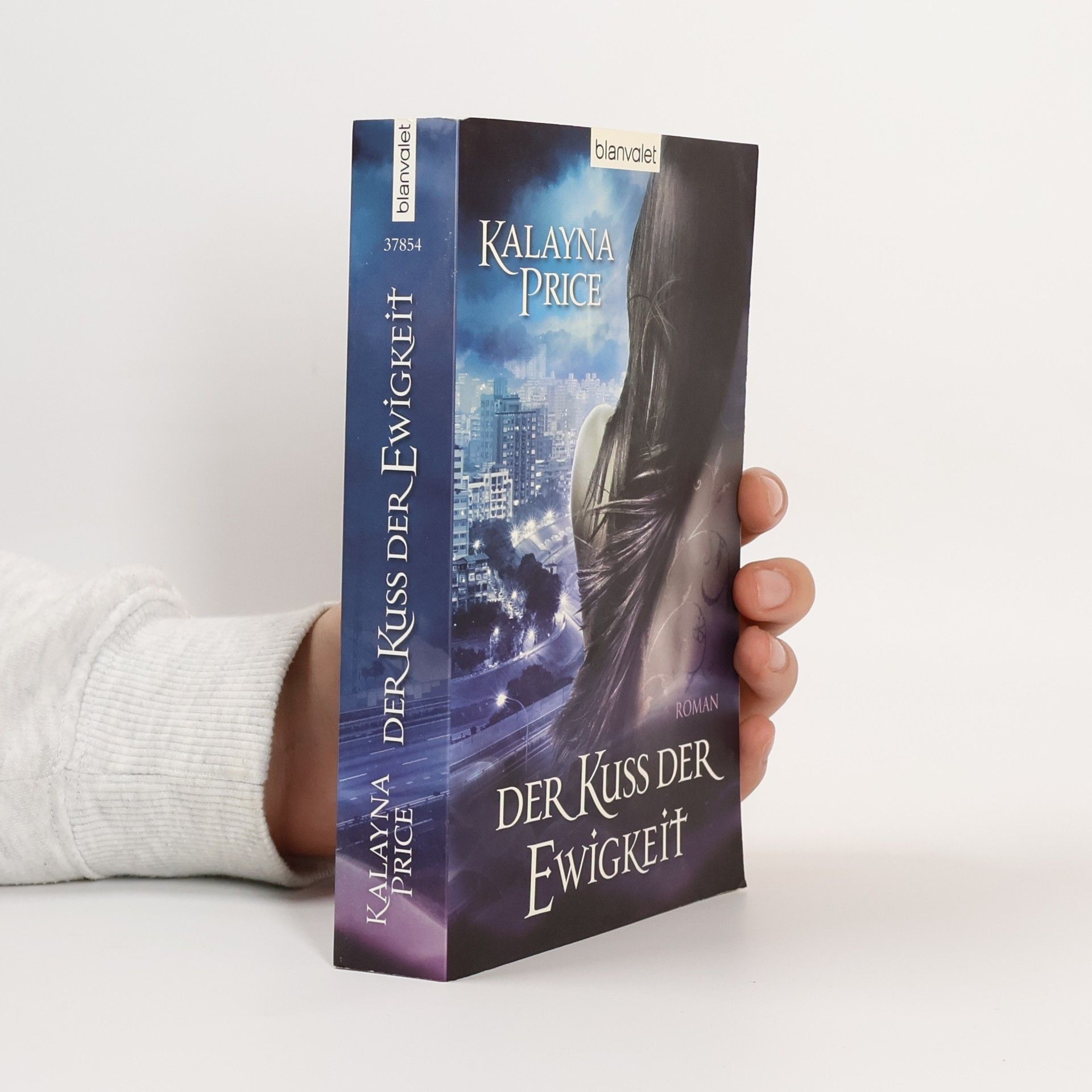 Der Kuss der Ewigkeit. Roman