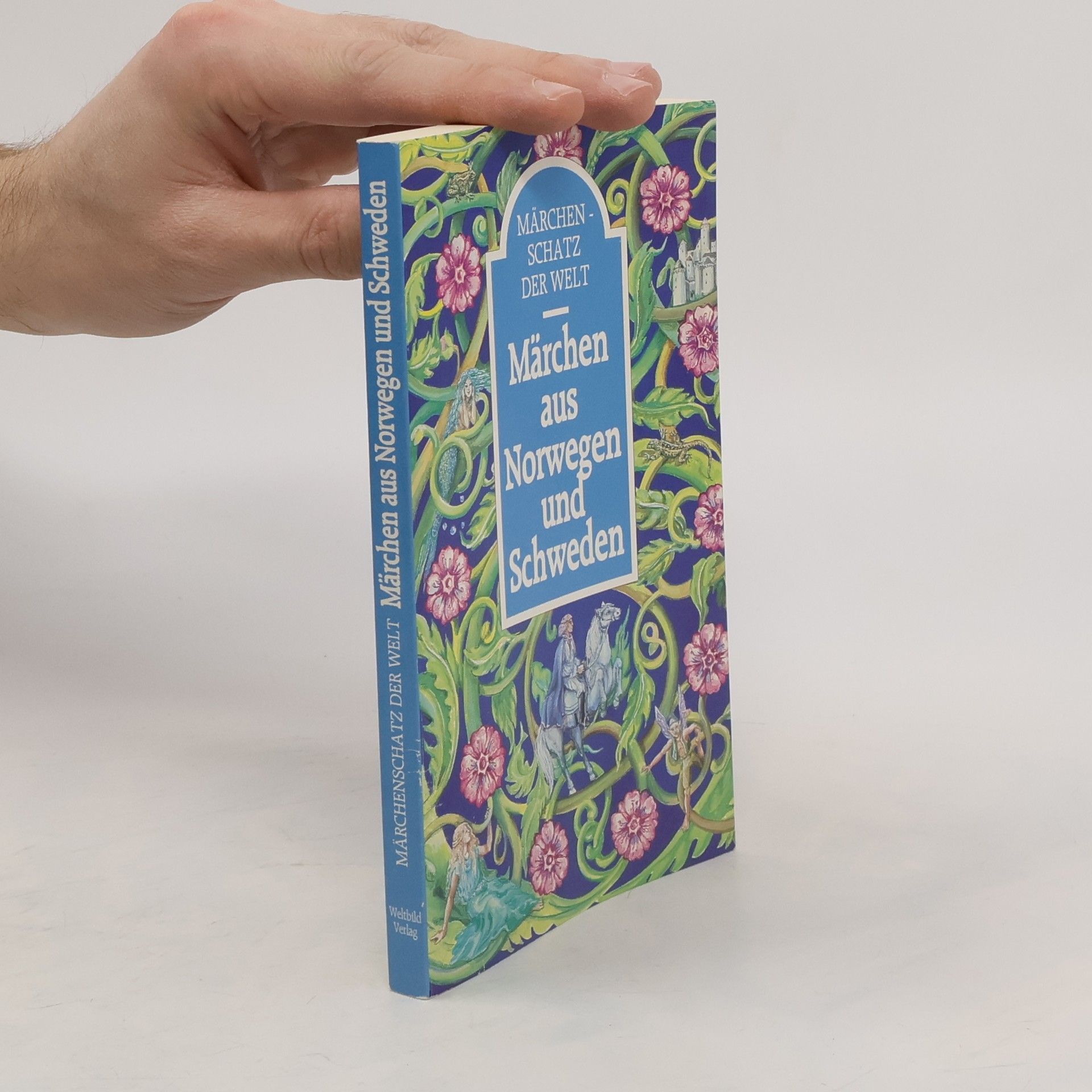 Auteurscollectief Märchen aus Norwegen und Schweden