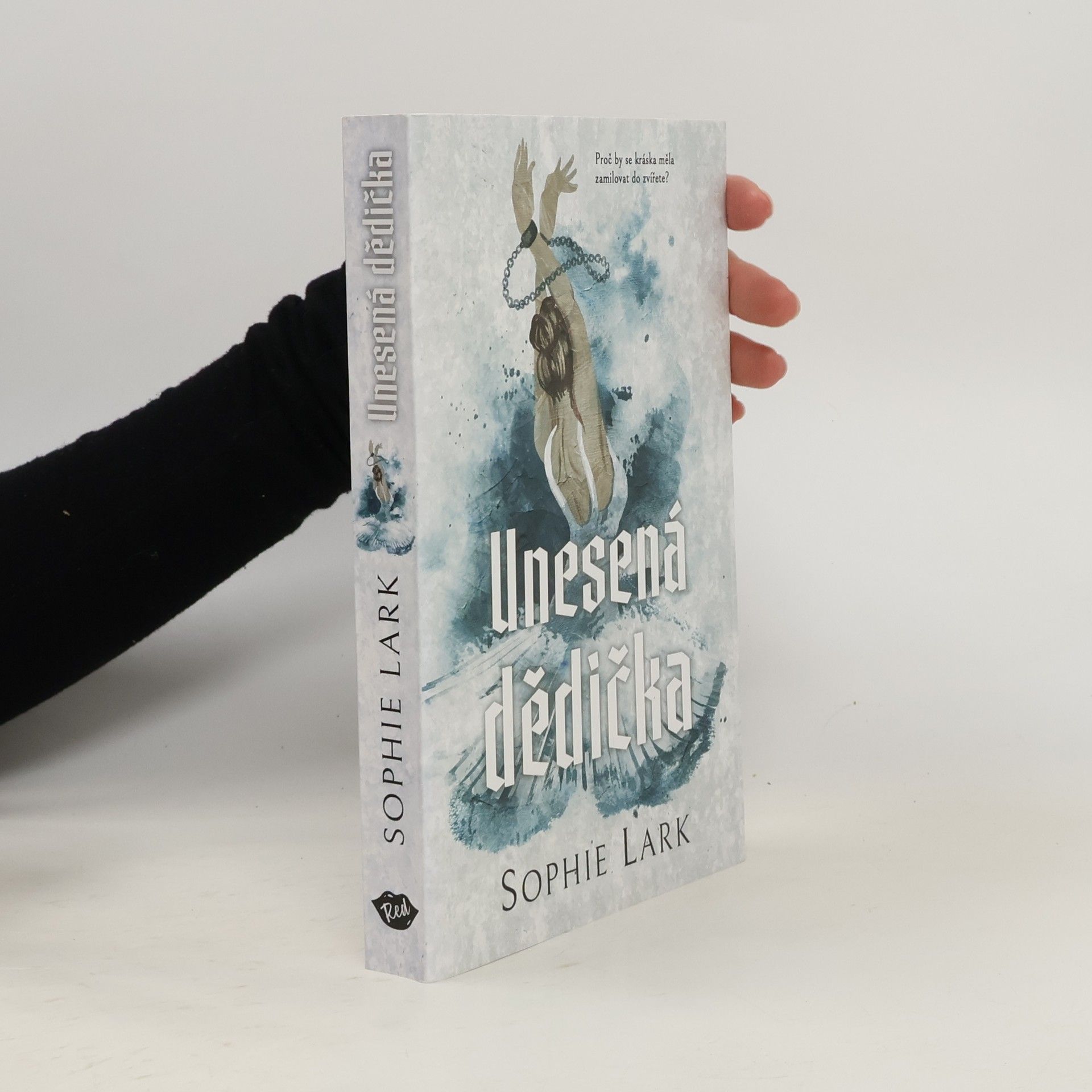 Sophie Lark Unesená dědička