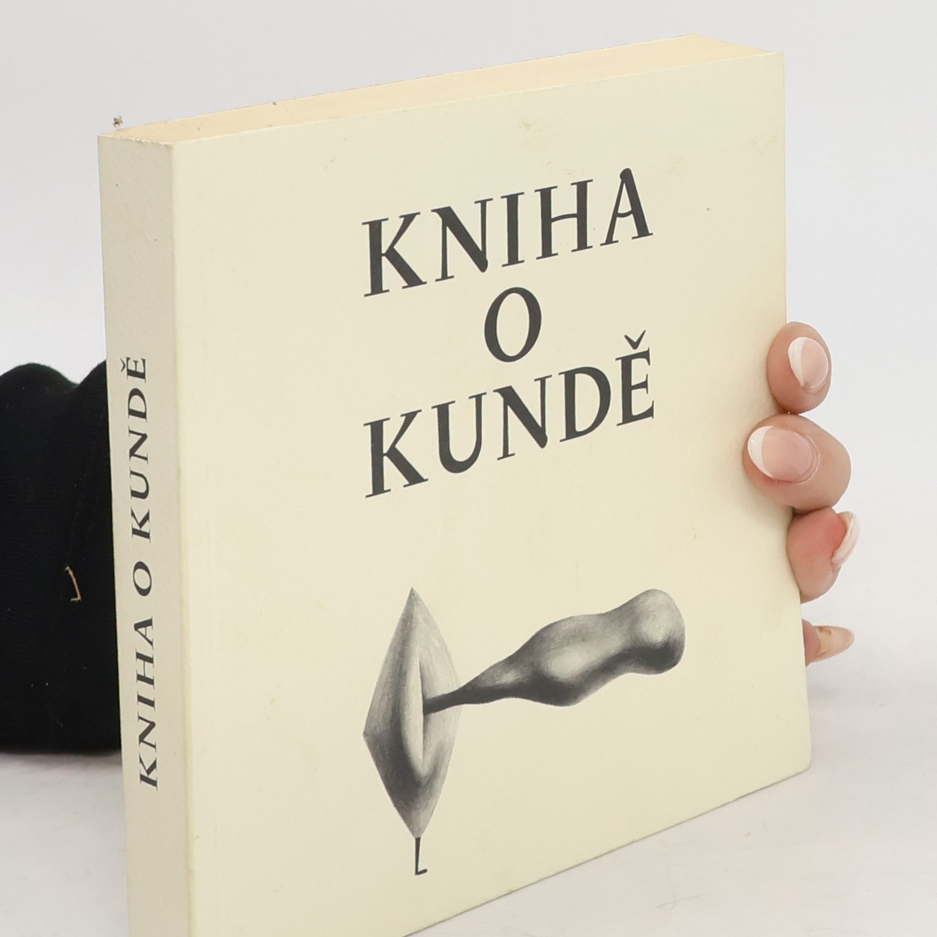 Karel Utte Kniha o kundě