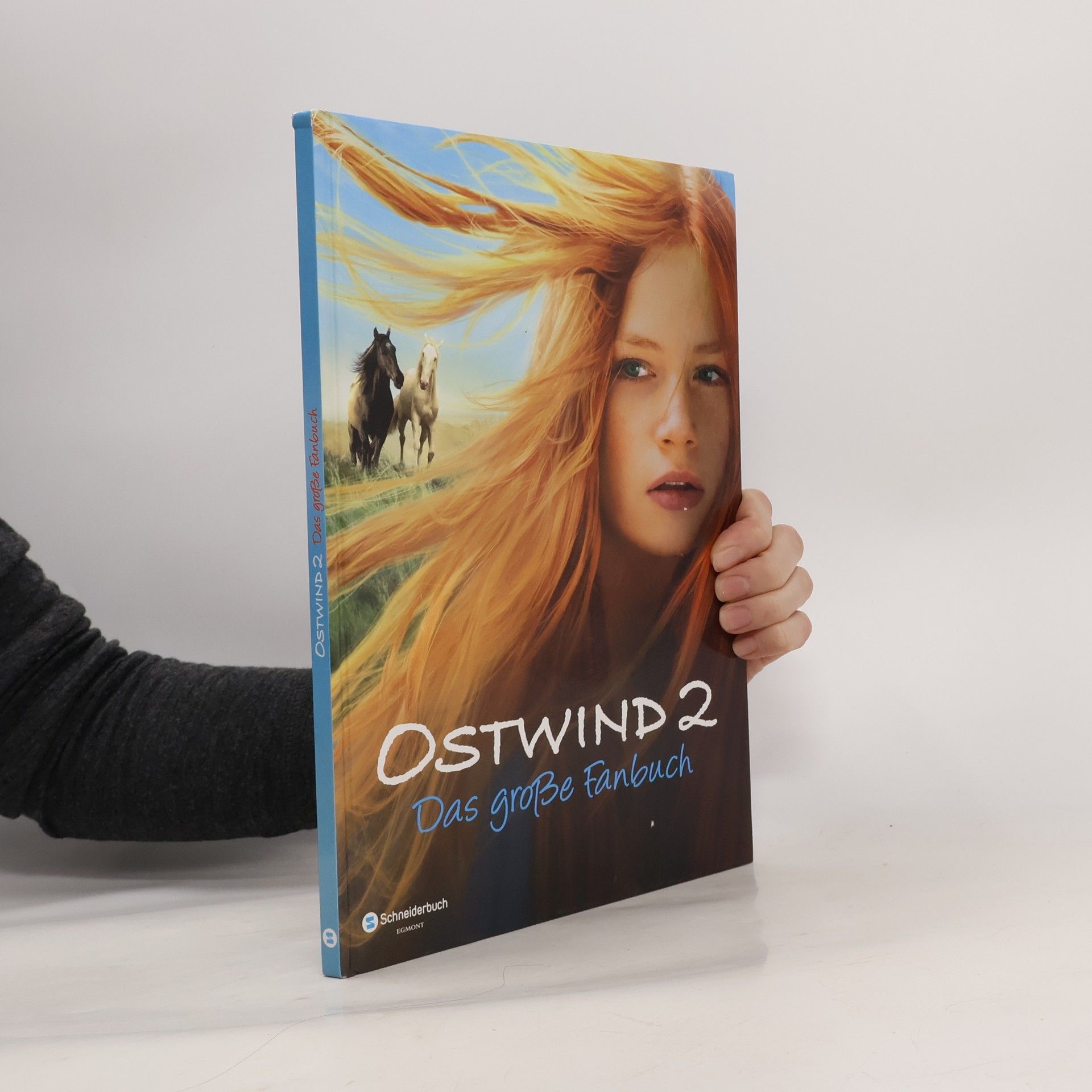 Collectif d'auteurs Ostwind 2 : Das große Fanbuch