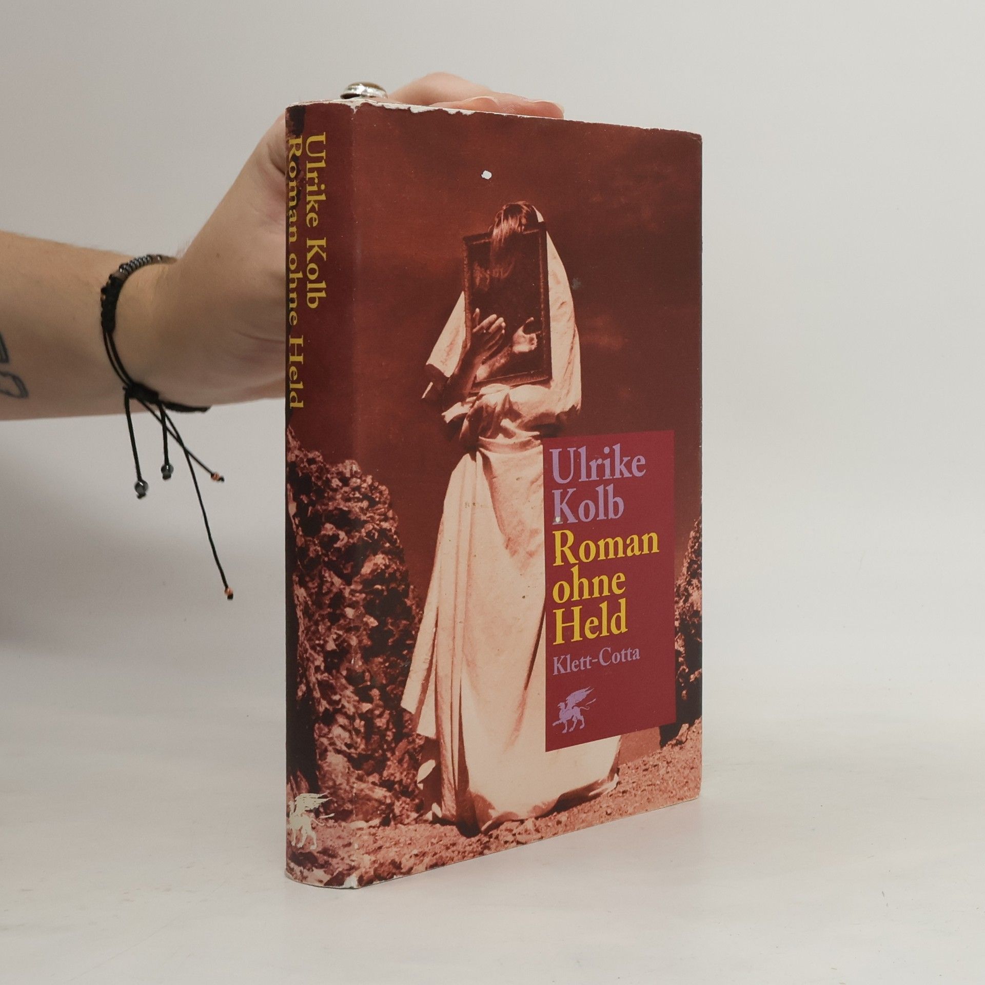 Ulrike Kolb Roman ohne Held