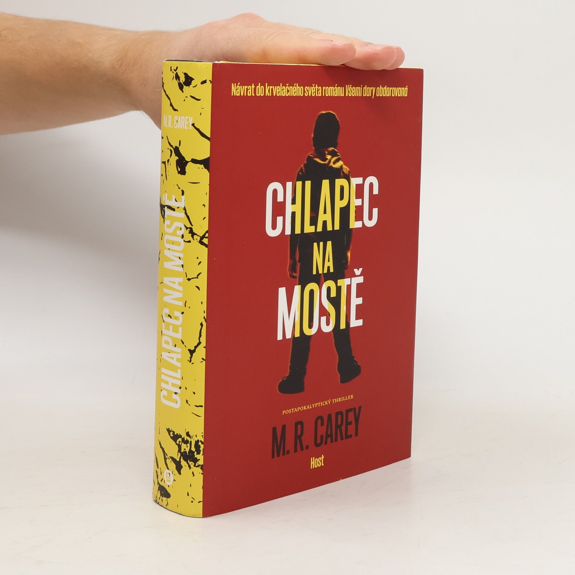 M. R. Carey Chlapec na mostě