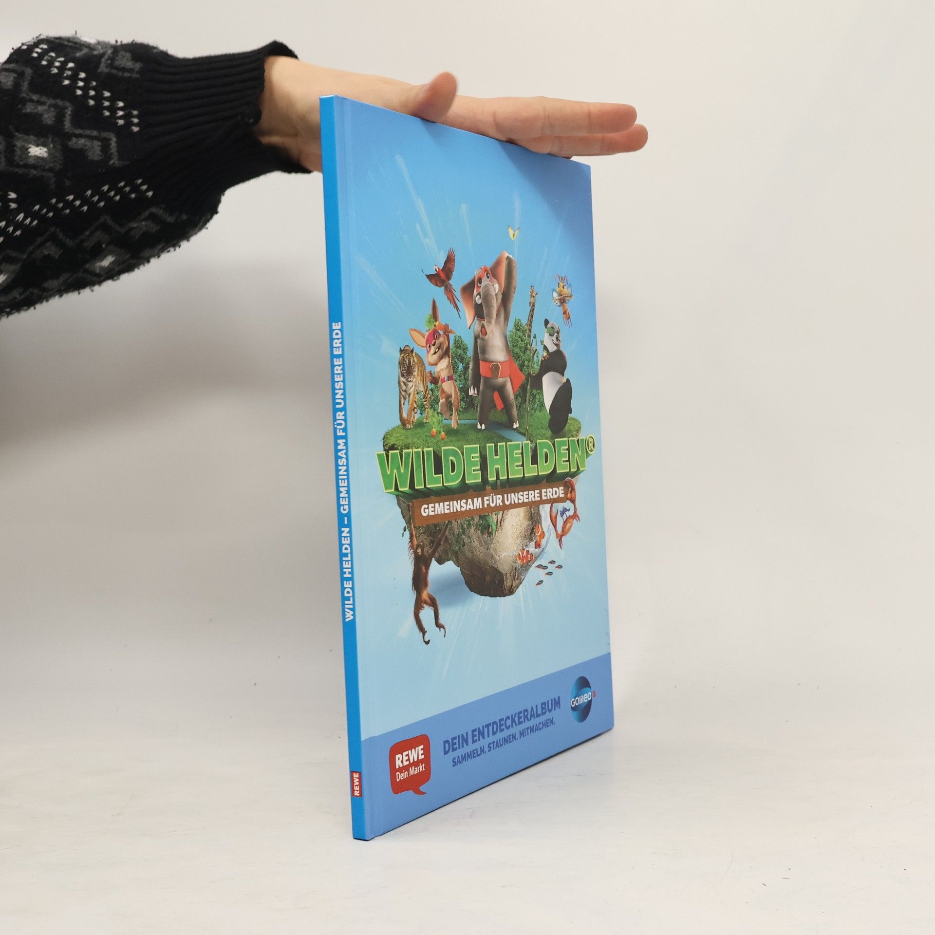 Autorenkollektiv Wilde Helden