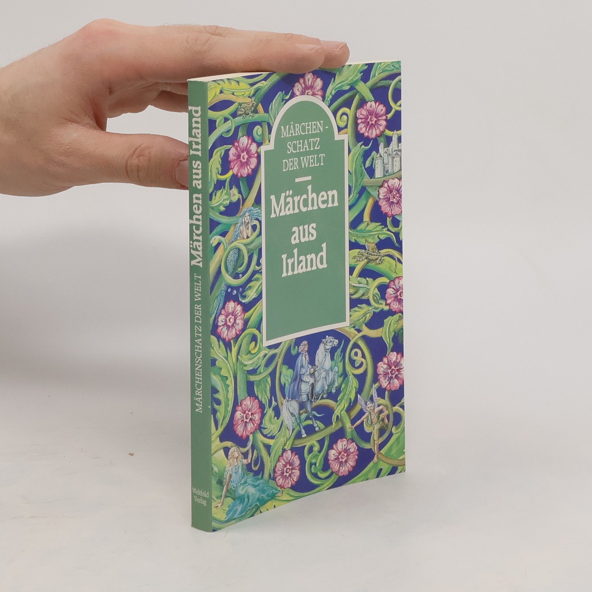 Autorenkollektiv Märchenschatz der Welt. Märchen aus Irland