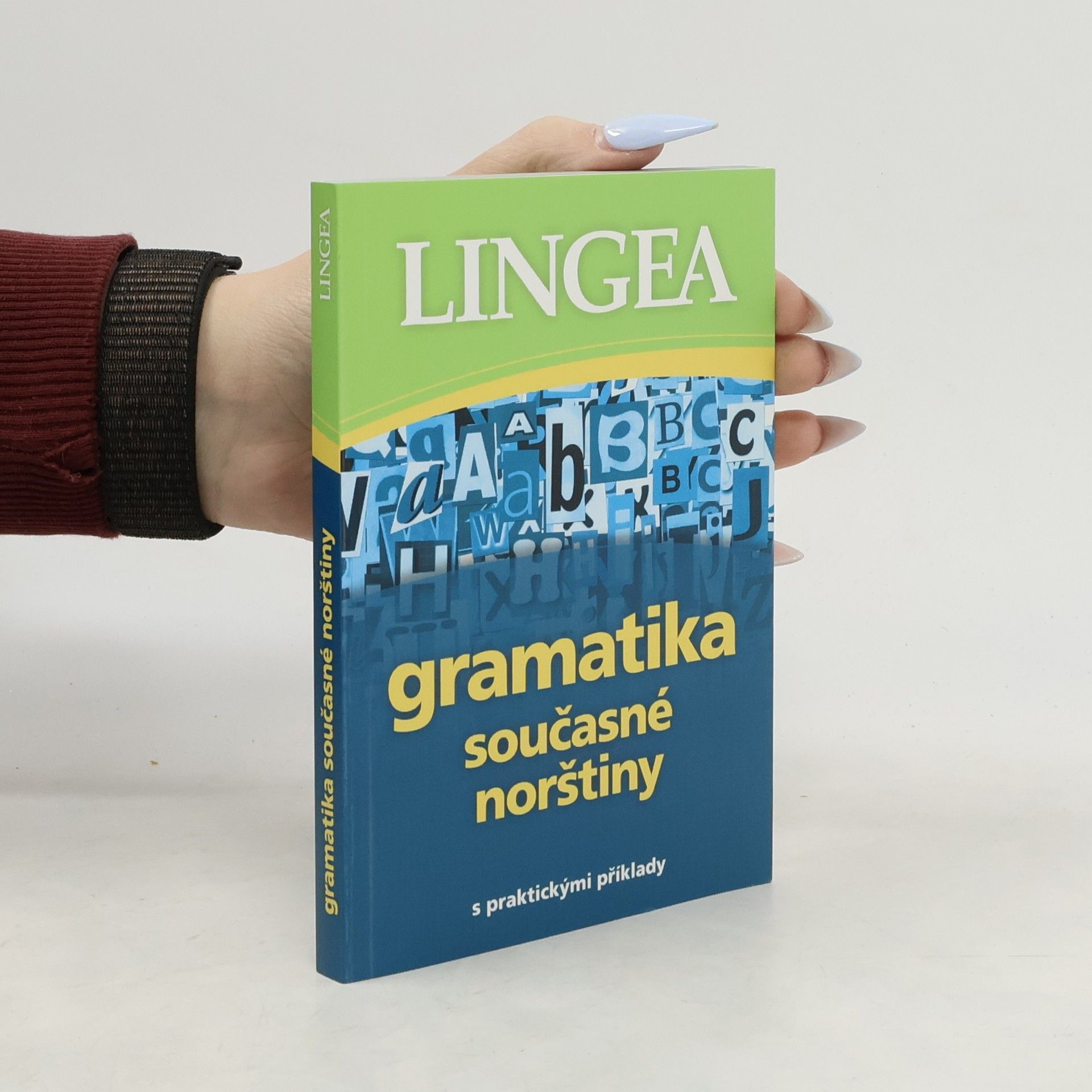 Various authors Gramatika současné norštiny