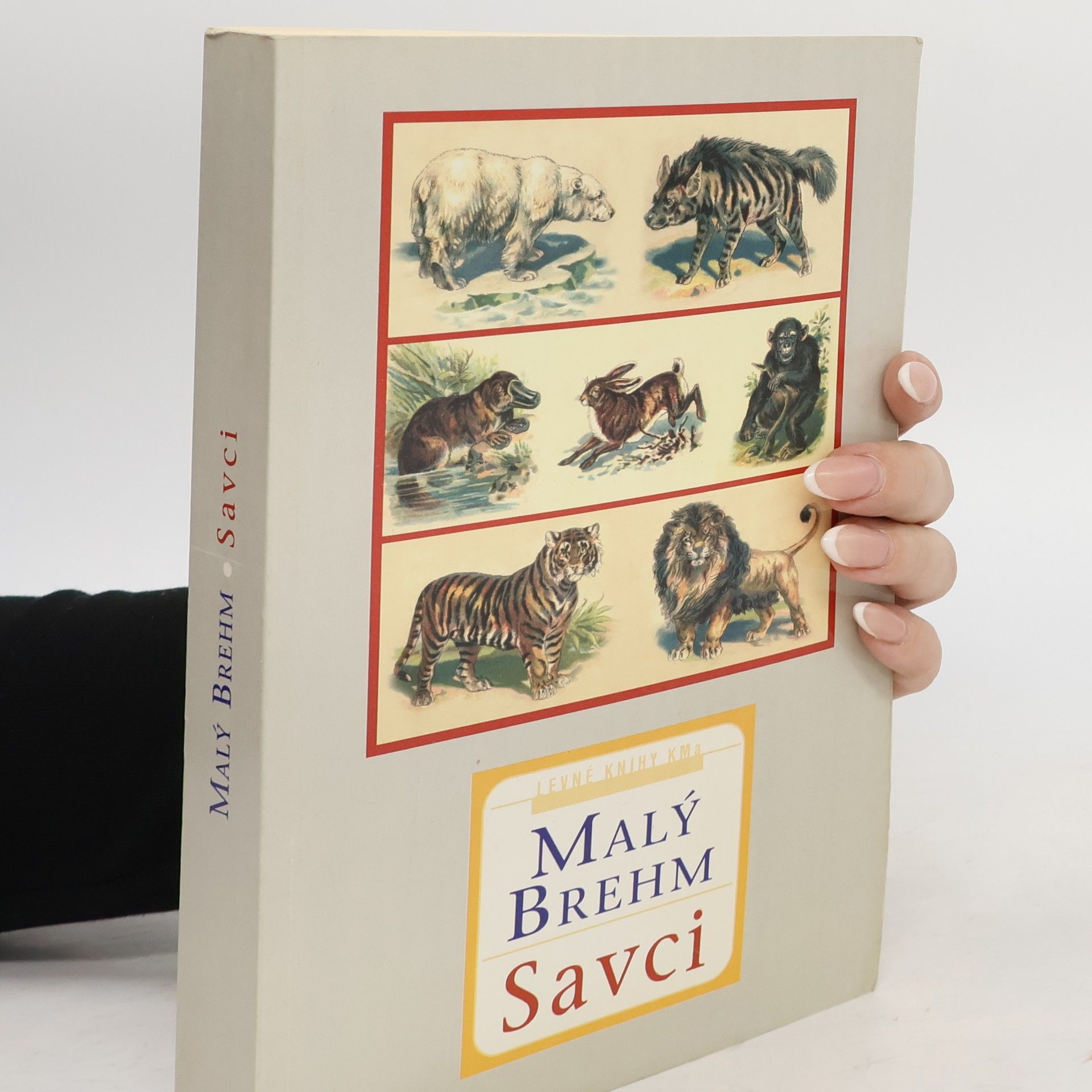 Bohuslav Záborský Malý Brehm. Savci