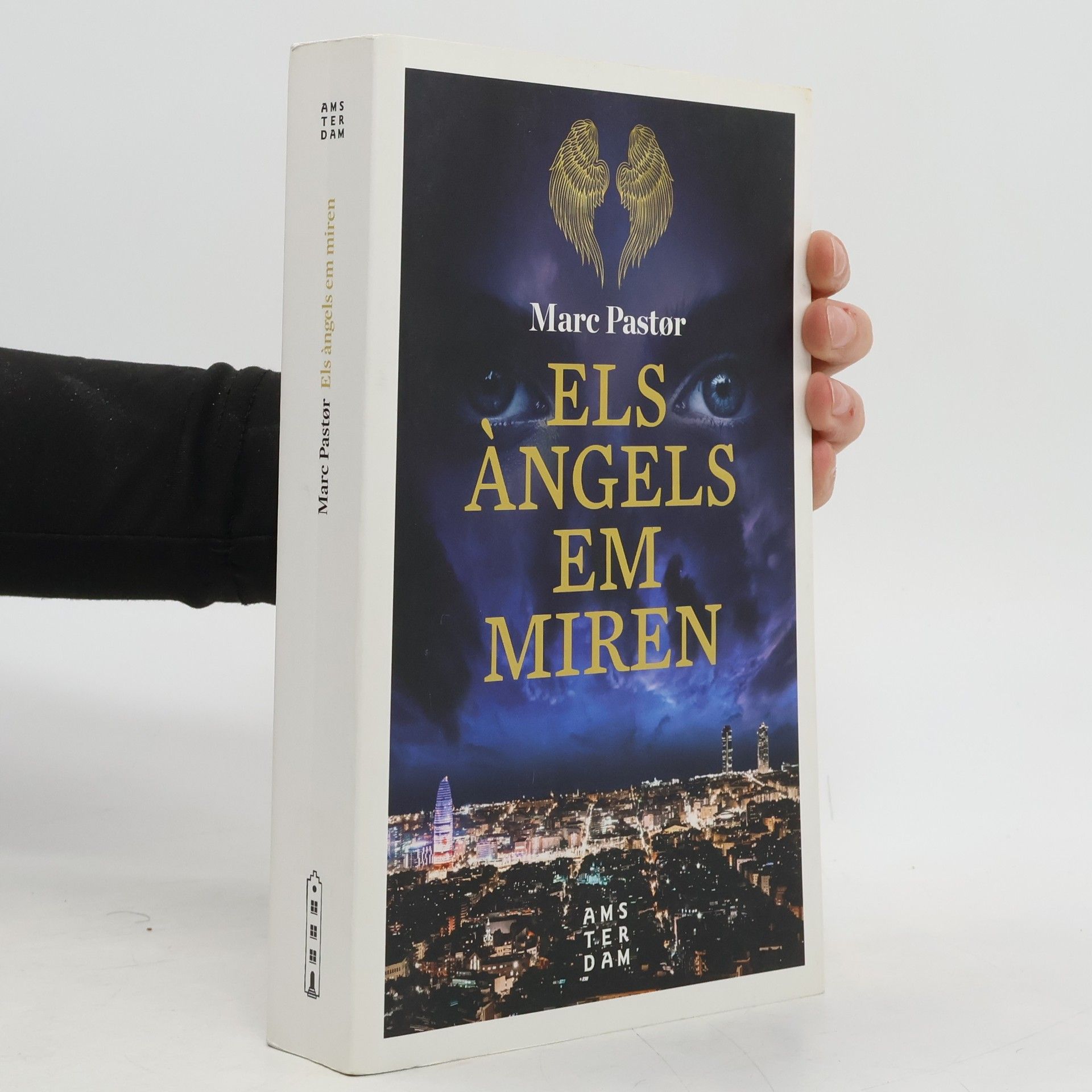 Marc Pastor i Pedron Els àngels em miren