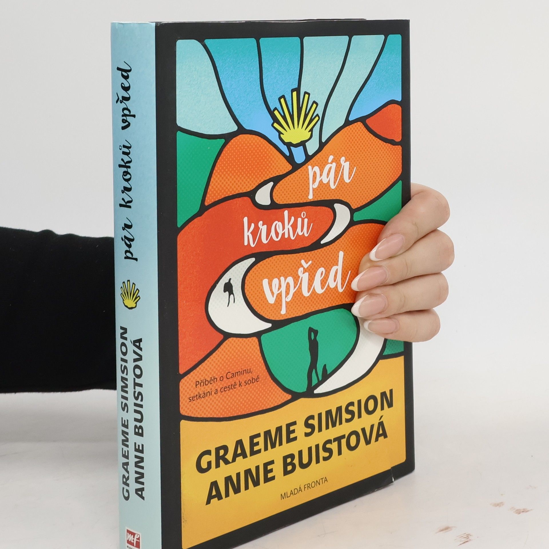 Graeme Simsion Pár kroků vpřed