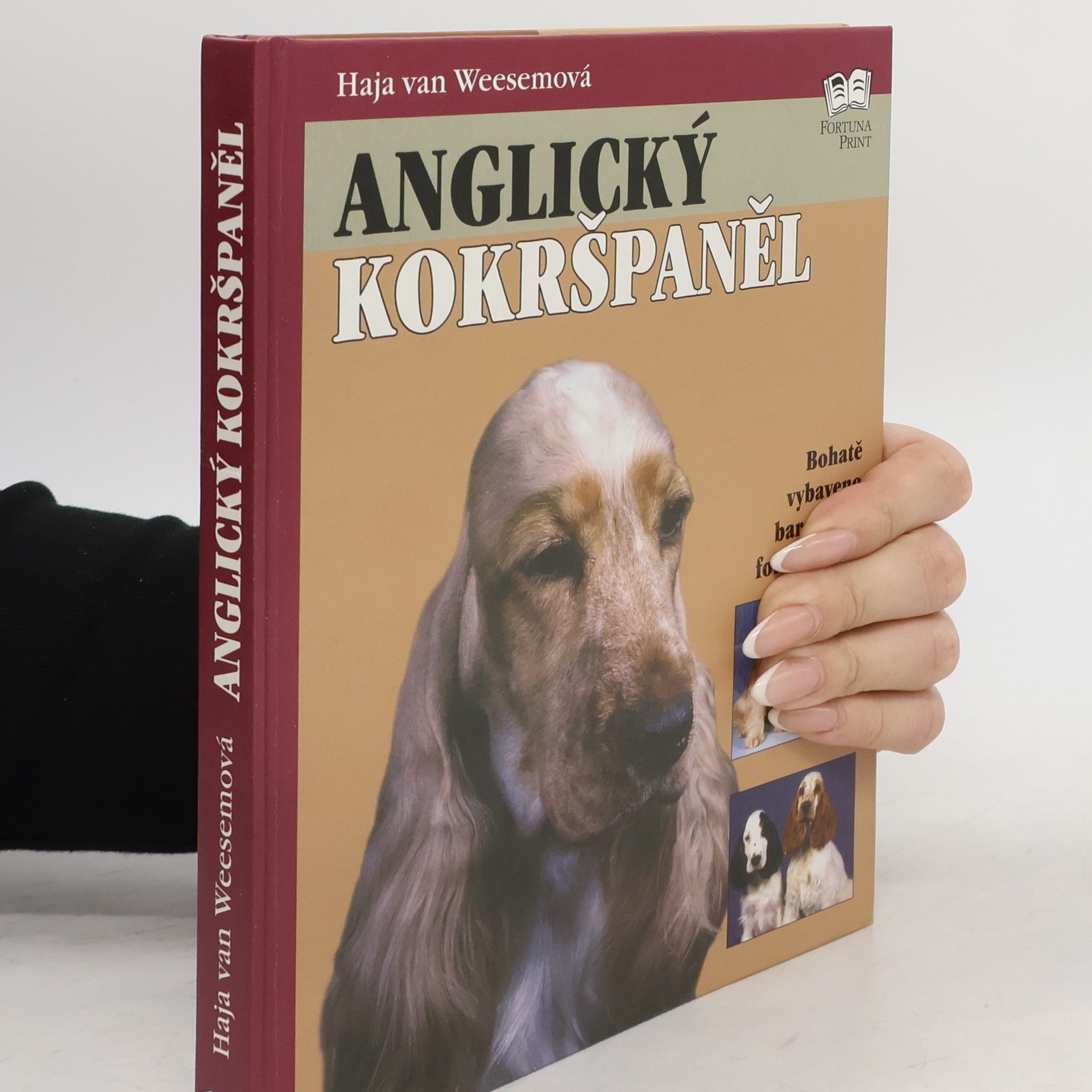Haja van Wessem Anglický kokršpaněl
