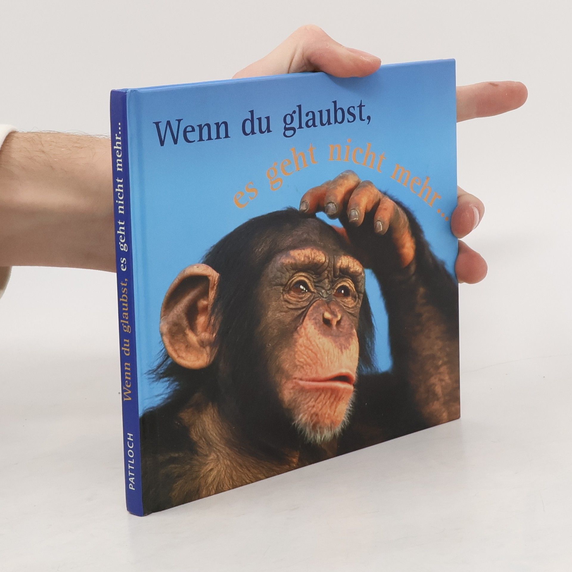 Luc Serafin Wenn du glaubst, es geht nicht mehr ...