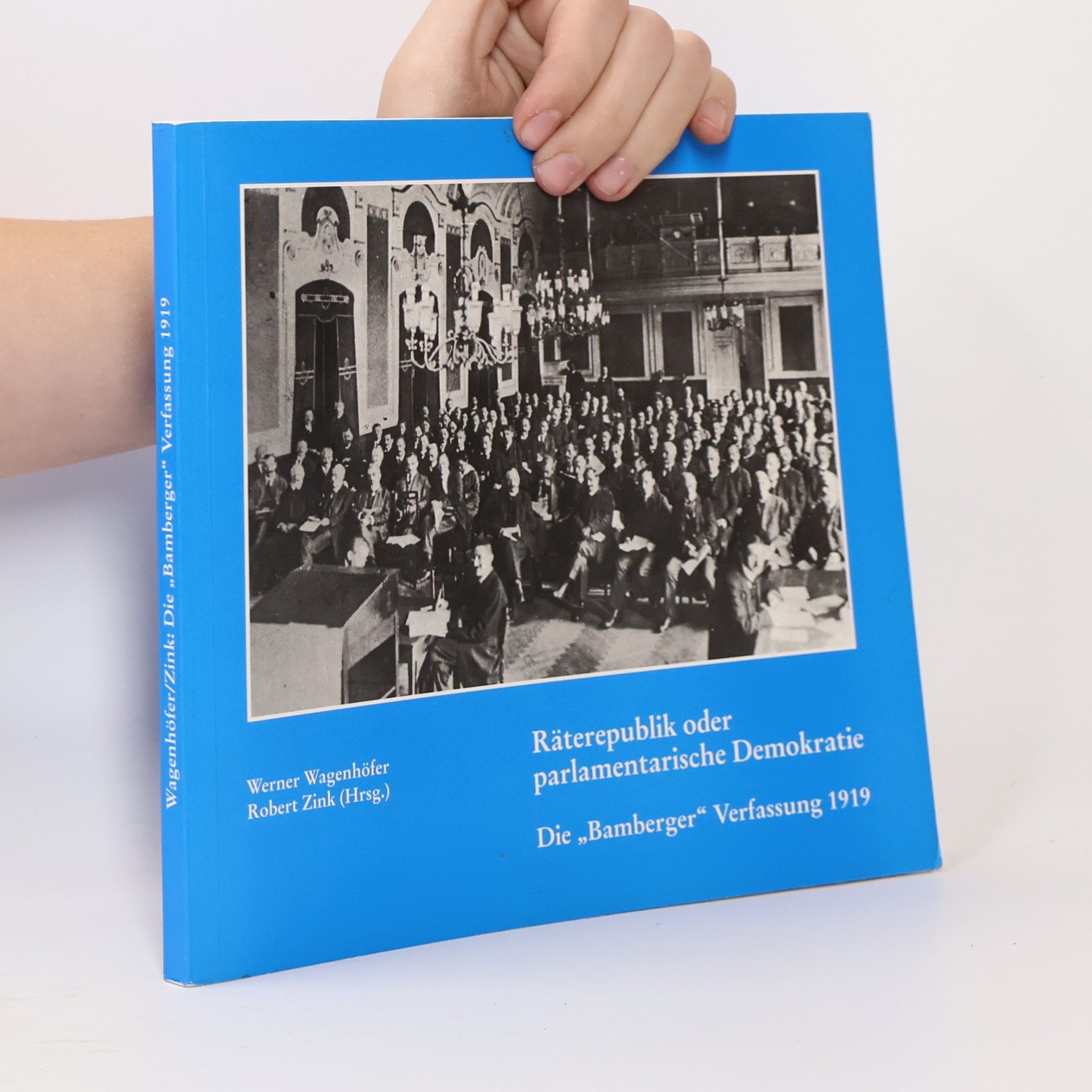 Werner Wagenhöfer Räterepublik oder parlamentarische Demokratie. Die „Bamberger“ Verfassung 1919