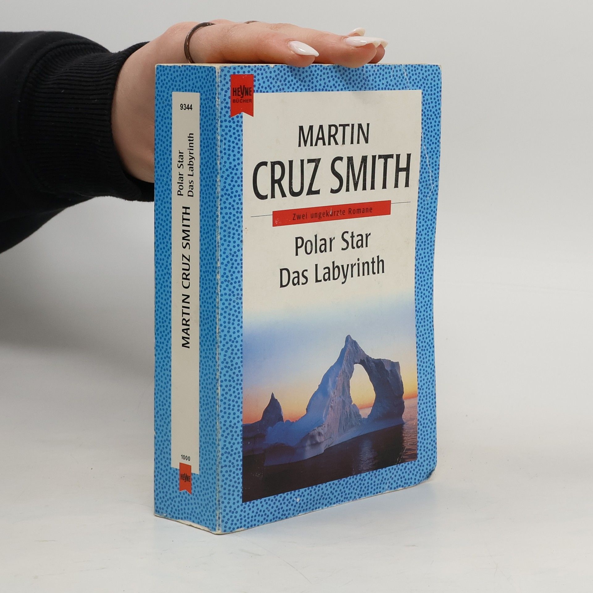 Martin Cruz-Smith Polar Star. Das Labyrinth