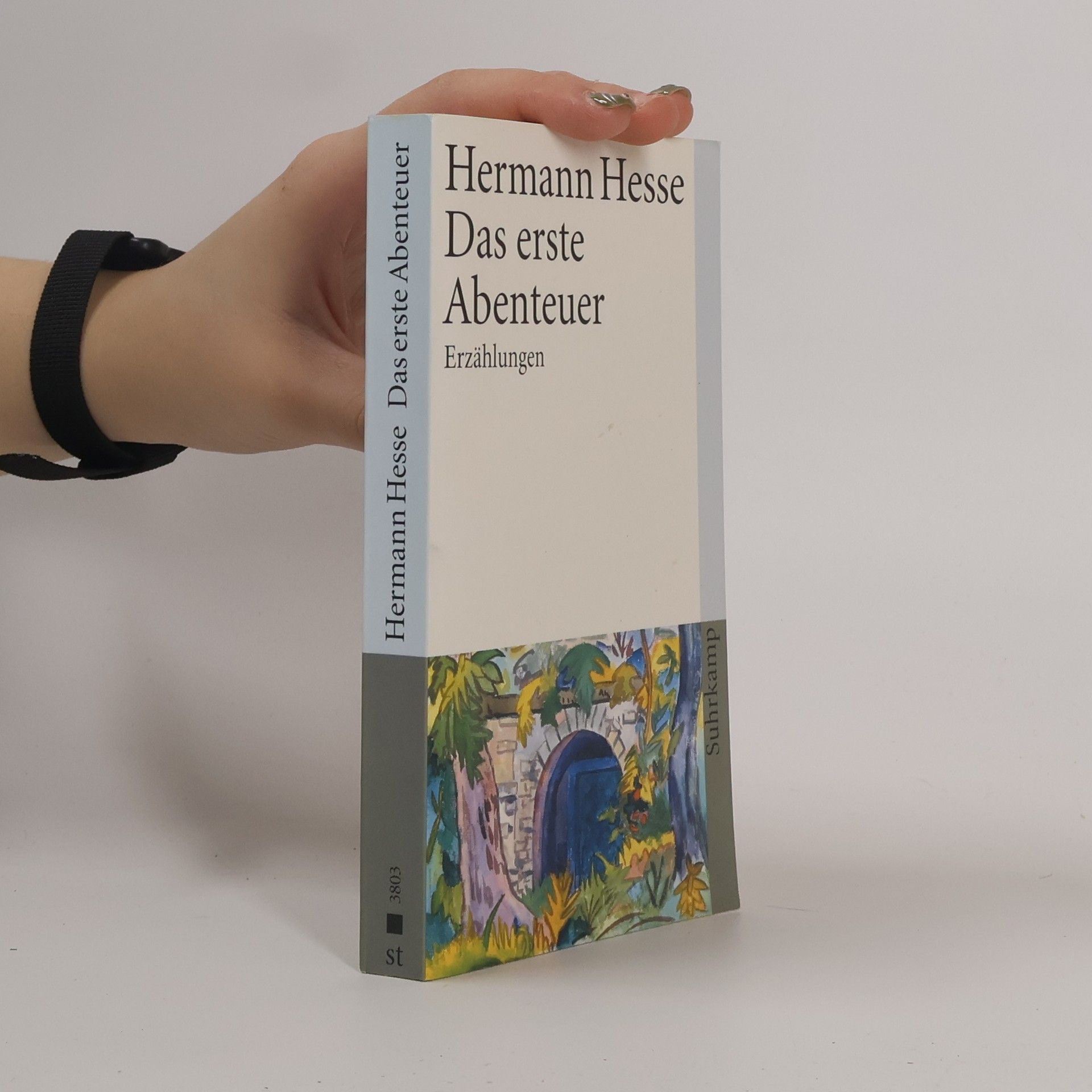 Hermann Hesse Das erste Abenteuer