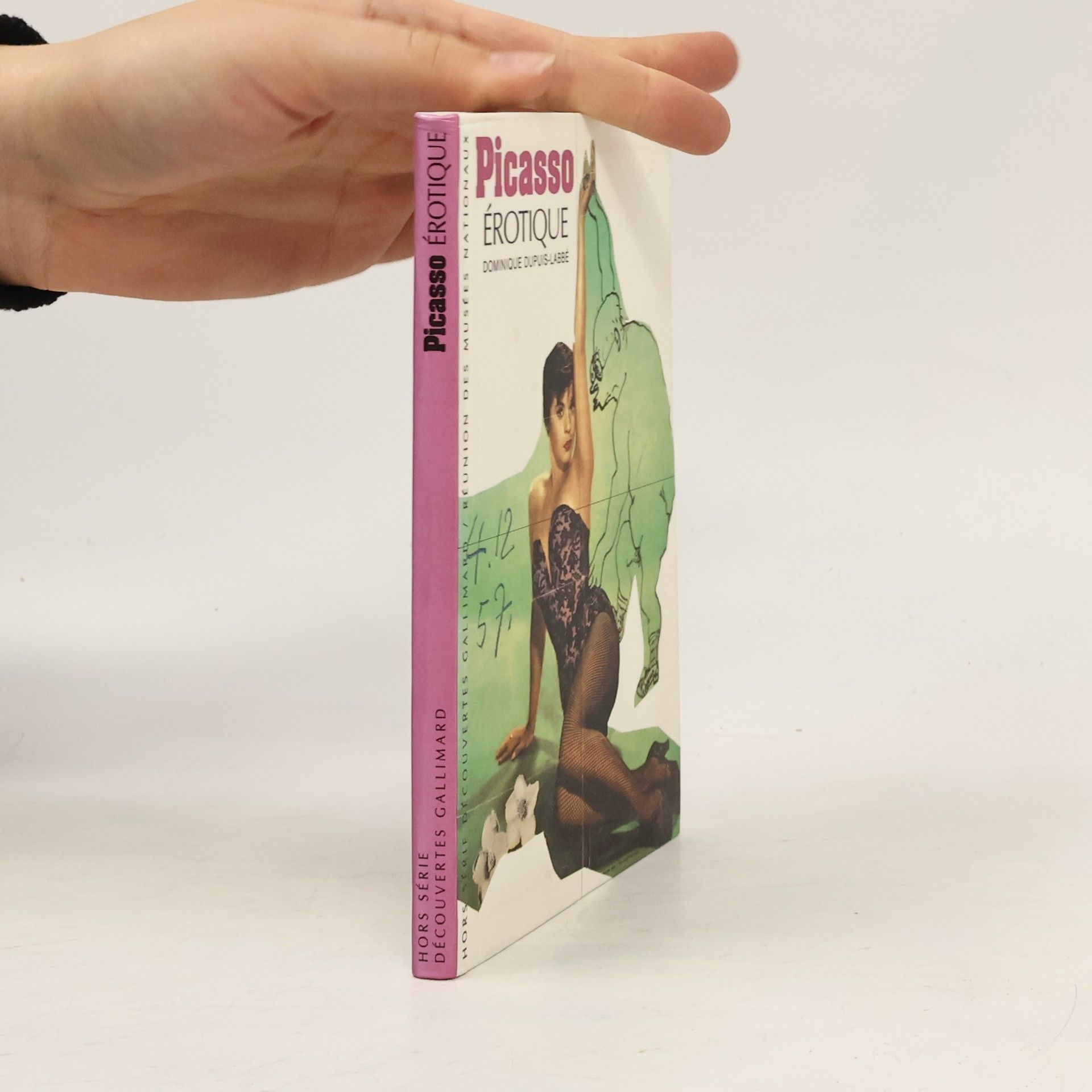 Dominique Dupuis Labbe Picasso érotique