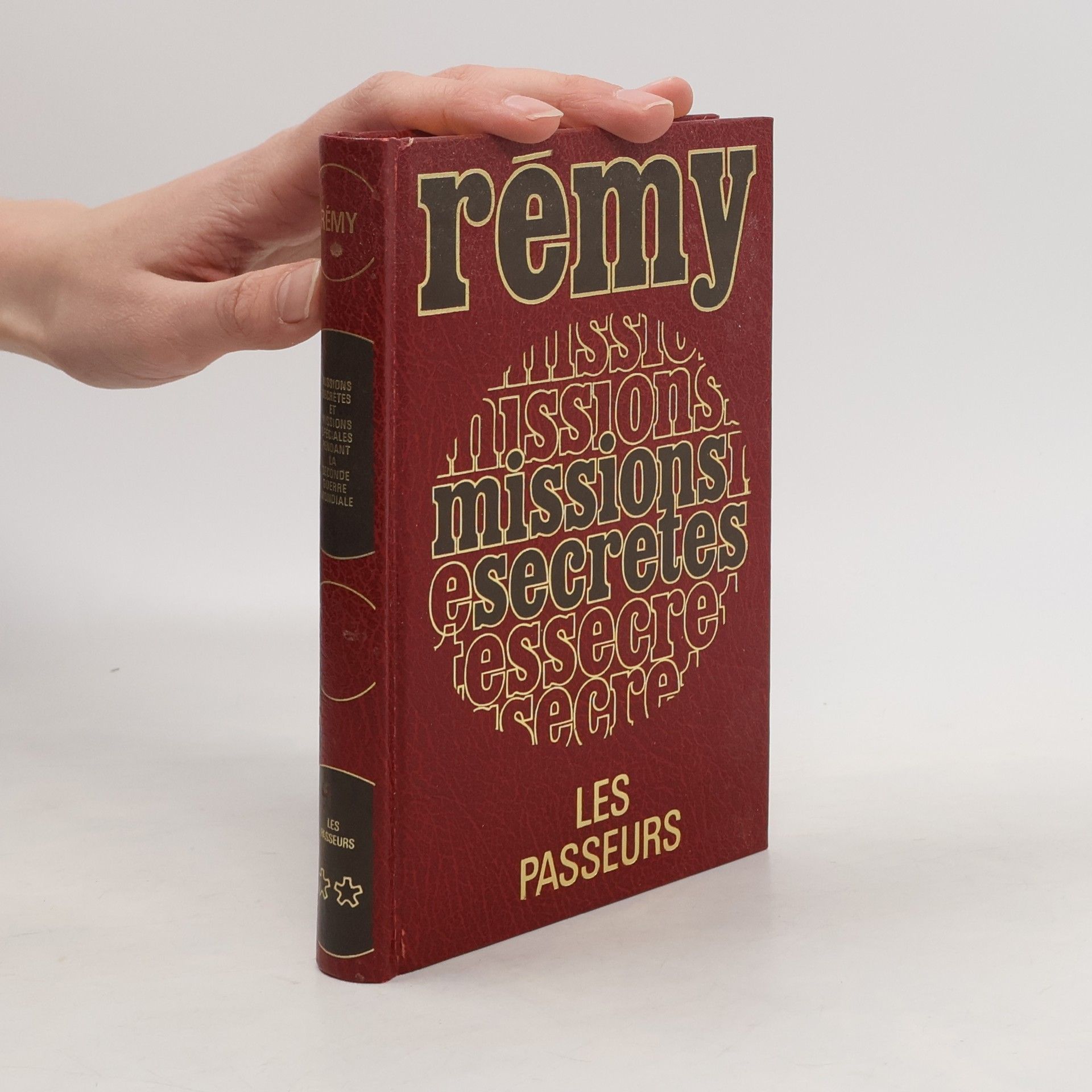 Rémy Missions secrètes