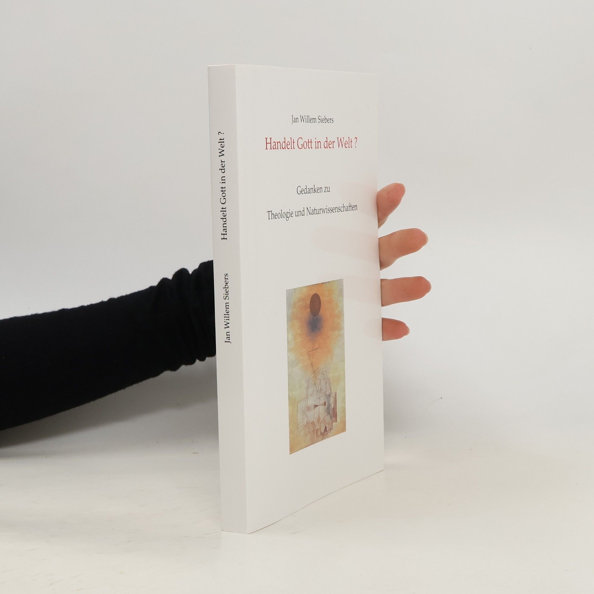 Jan Willem Siebers Handelt Gott in der Welt?