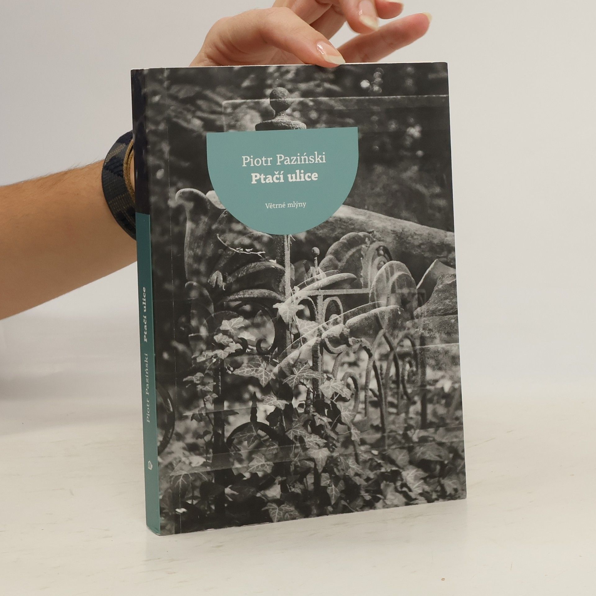 Piotr Paziński Ptačí ulice