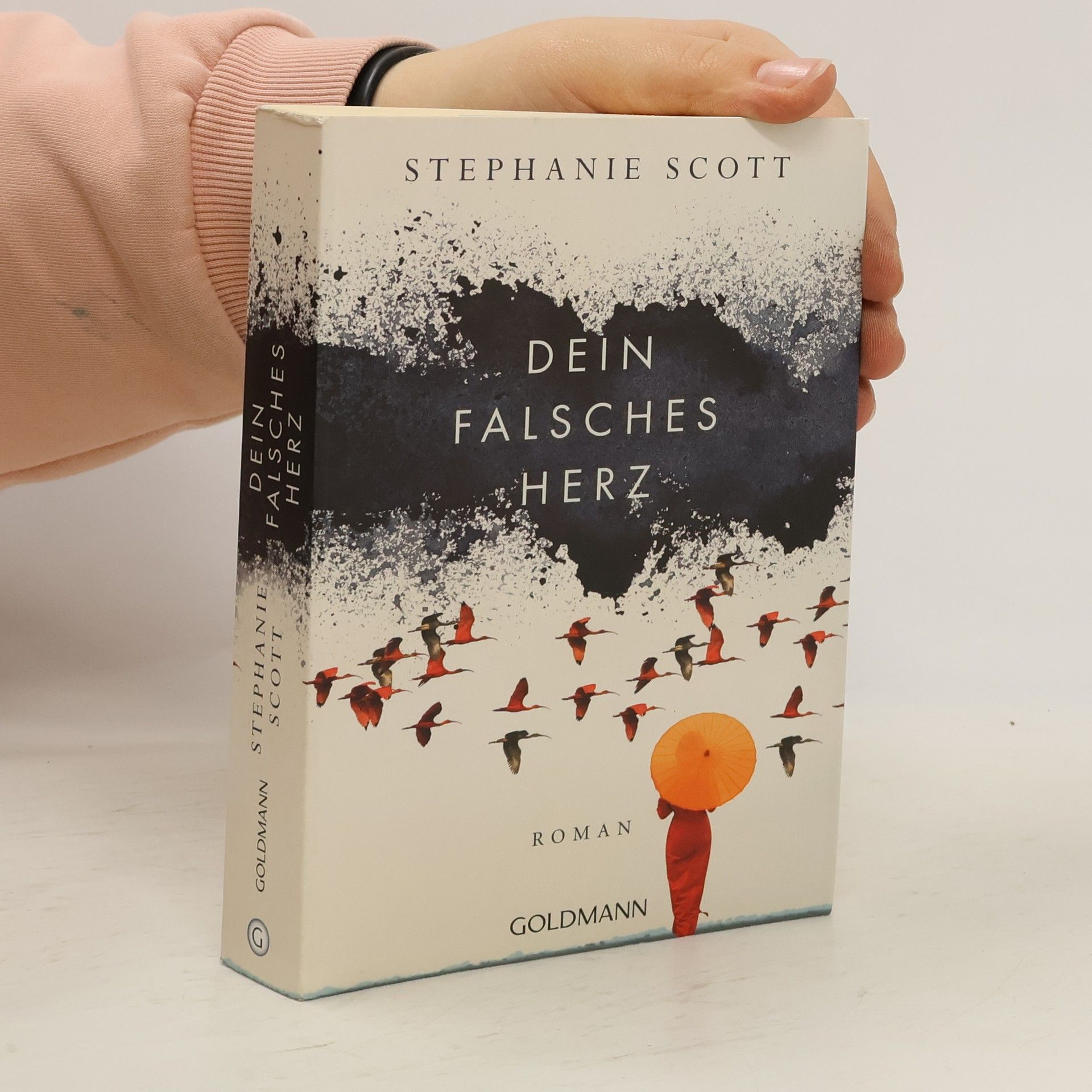 Stephanie Scott Dein falsches Herz