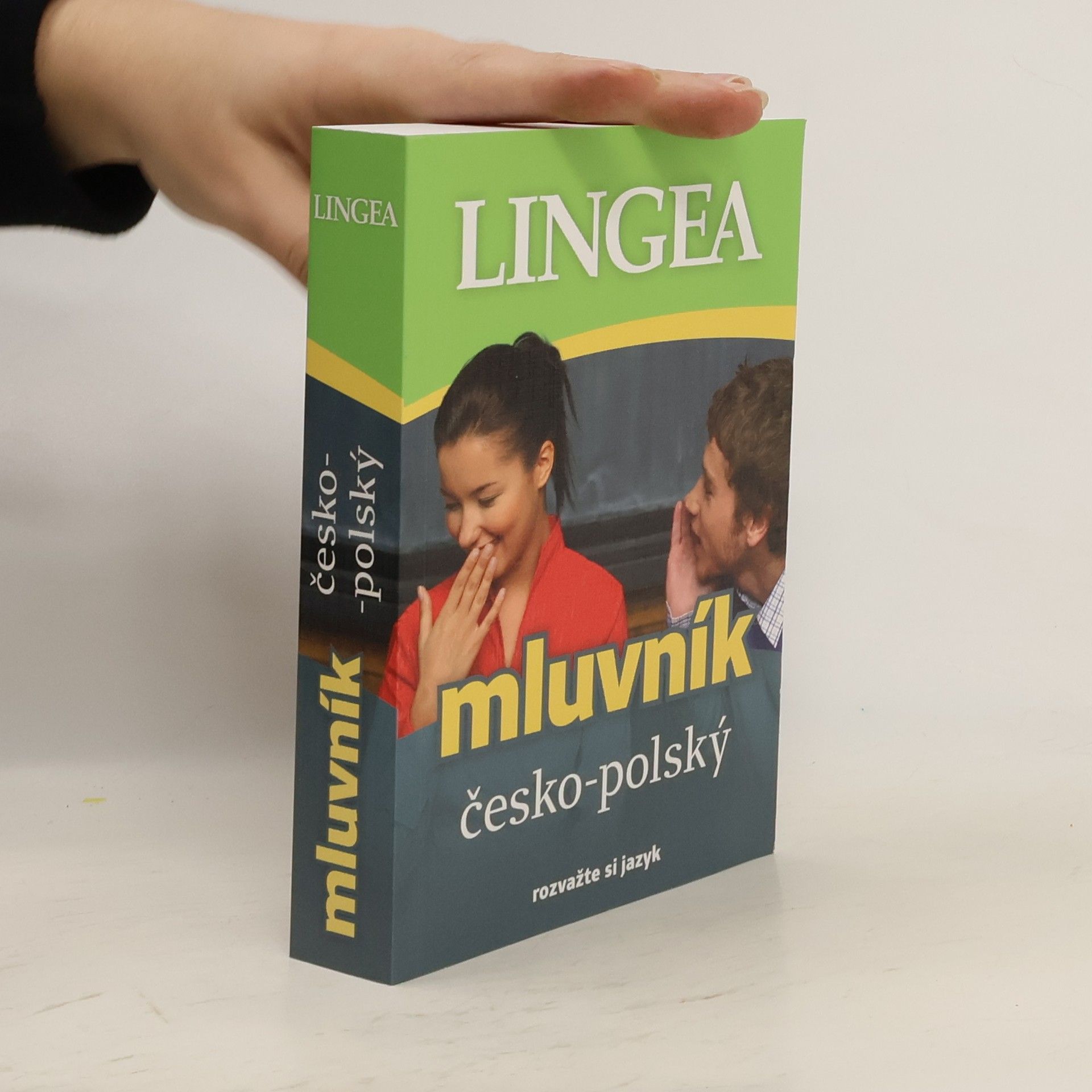 Autorenkollektiv Mluvník česko-polský