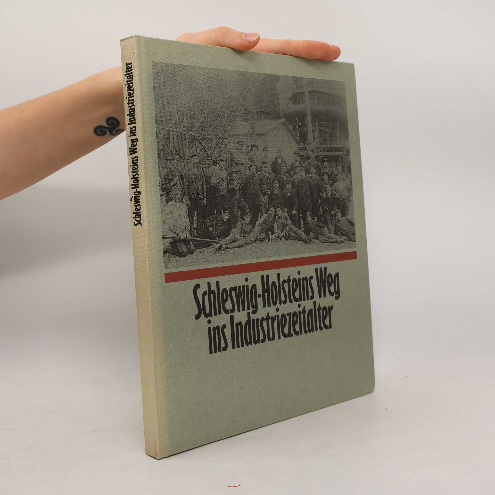 Urs J. Diederichs Schleswig-Holsteins Weg ins Industriezeitalter