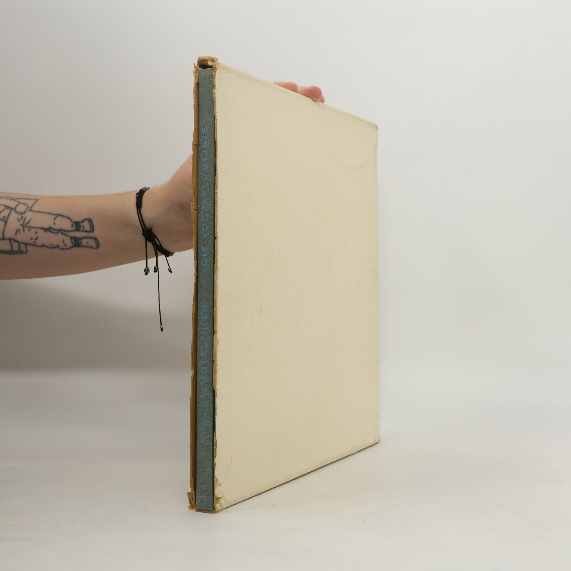 Auteurscollectief Die Vogelfluglinie Fugleflugtslinien