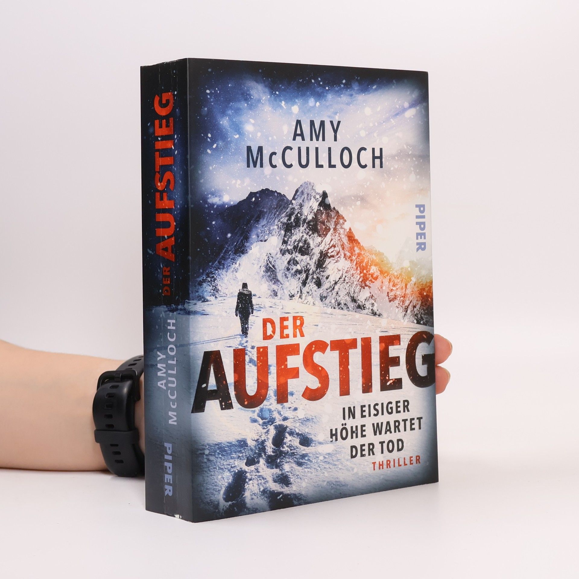 Amy McCulloch Der Aufstieg