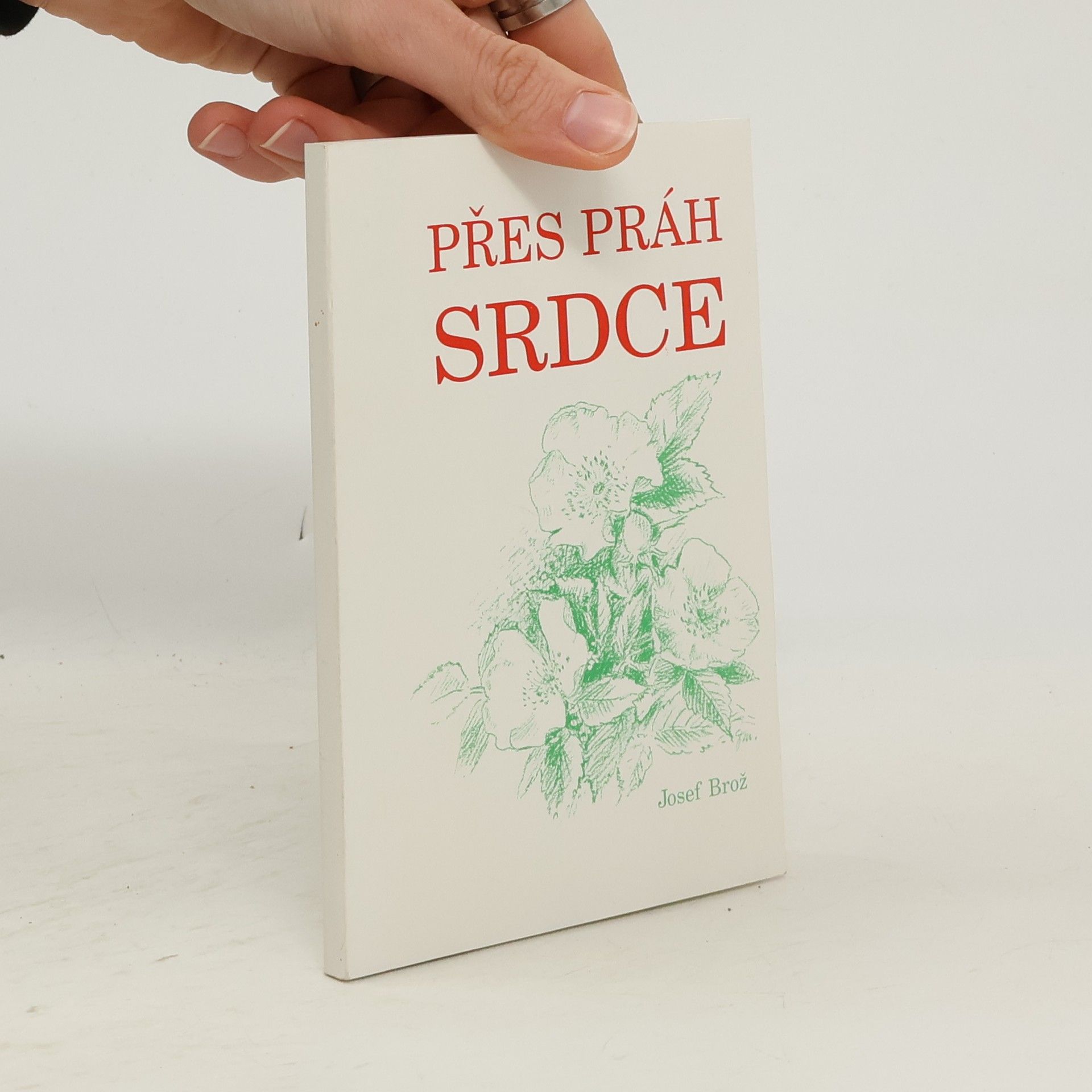 Josef Brož Přes práh srdce