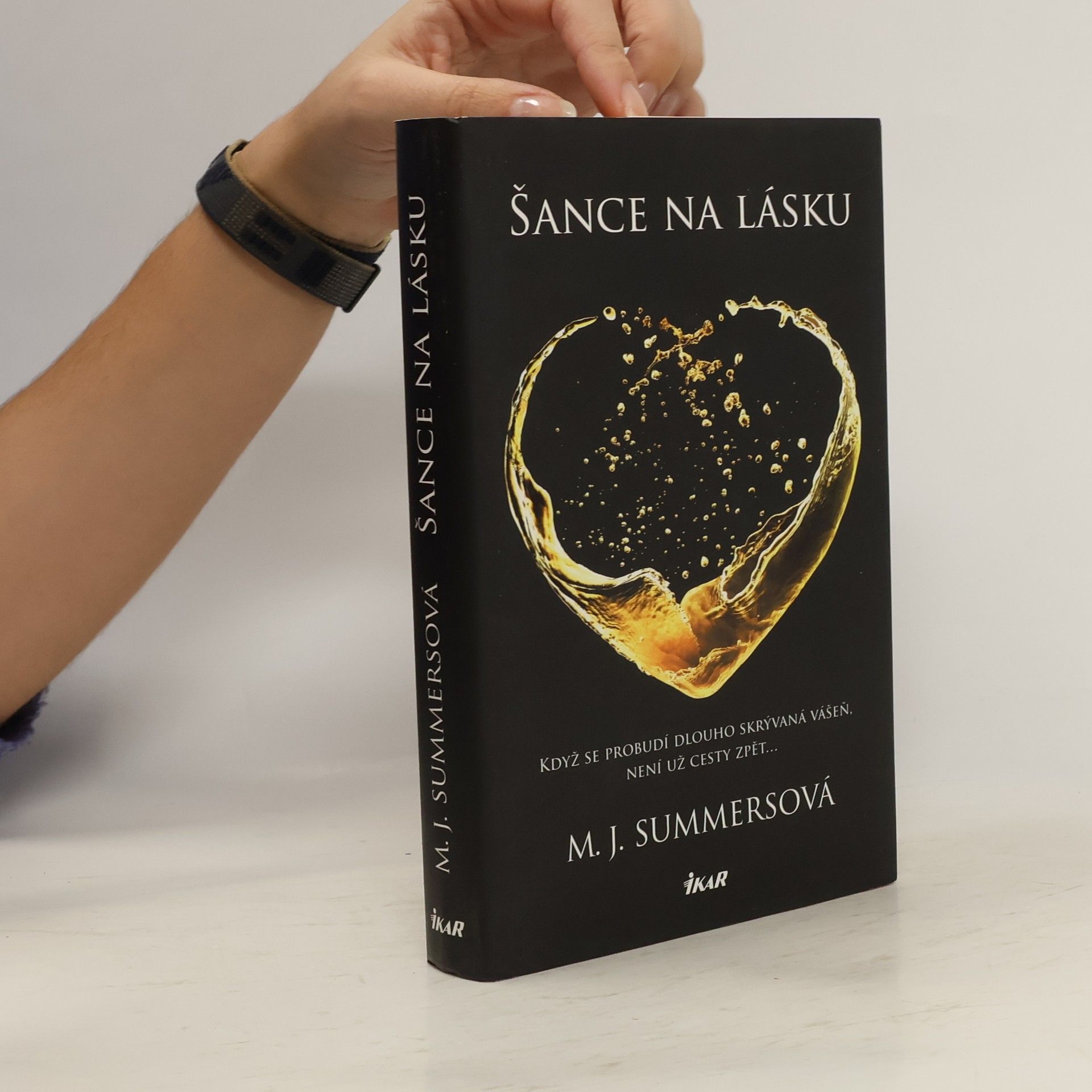 M. J. Summers Šance na lásku