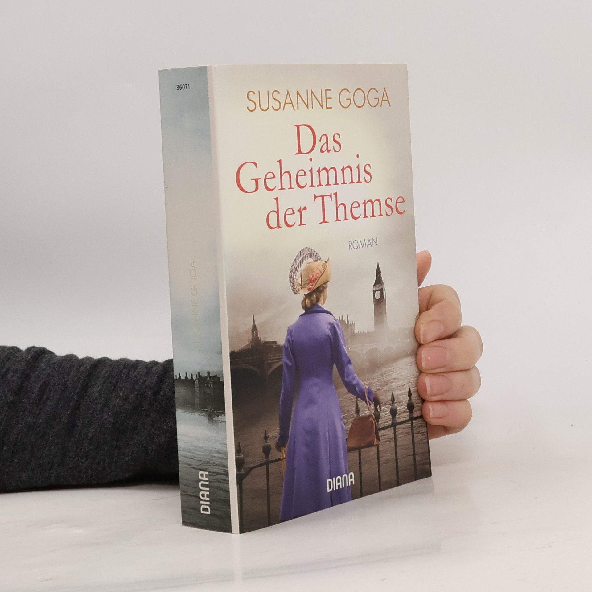Susanne Goga Das Geheimnis der Themse