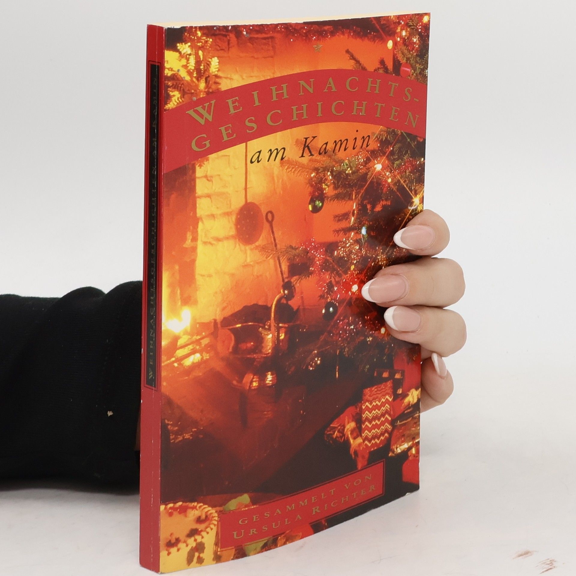 Ursula Richter Weihnachts Geschichten am Kamin 7