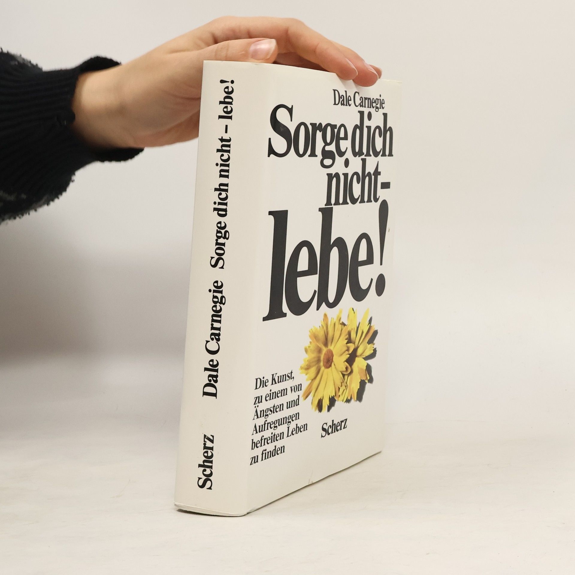 Dale Carnegie Sorge dich nicht - lebe!