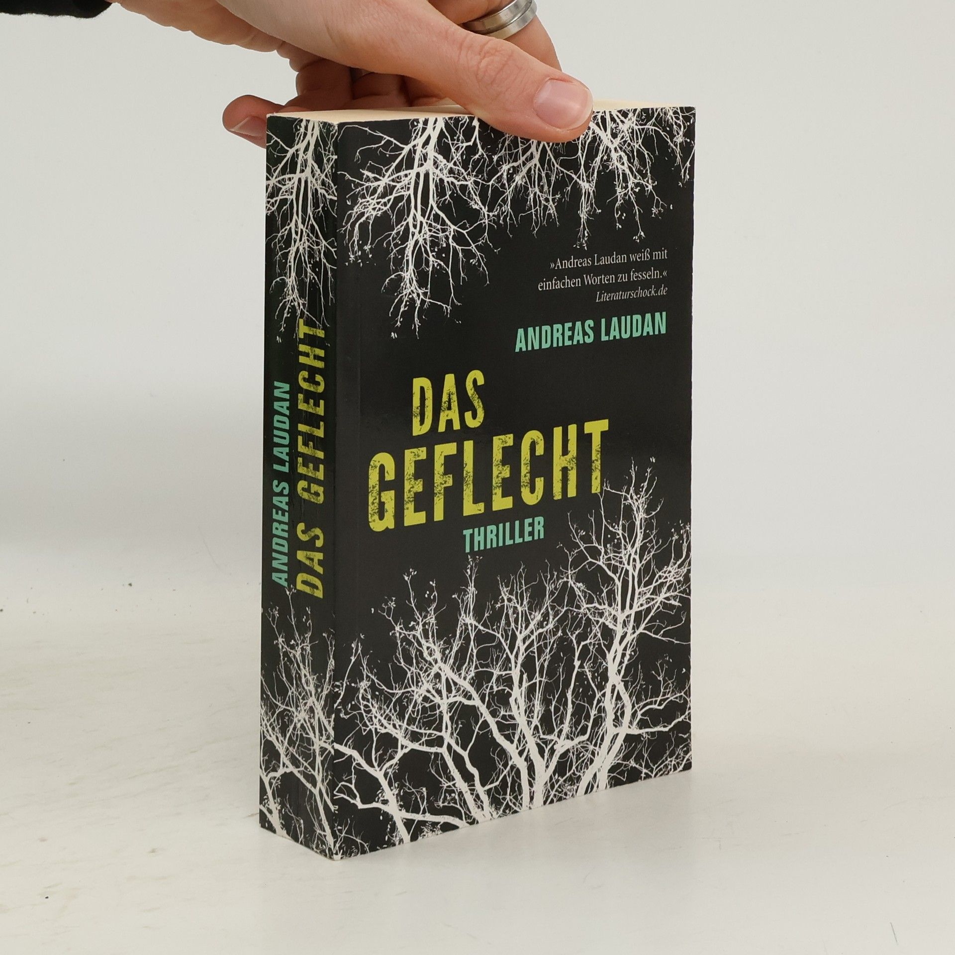 Andreas Laudan Das Geflecht