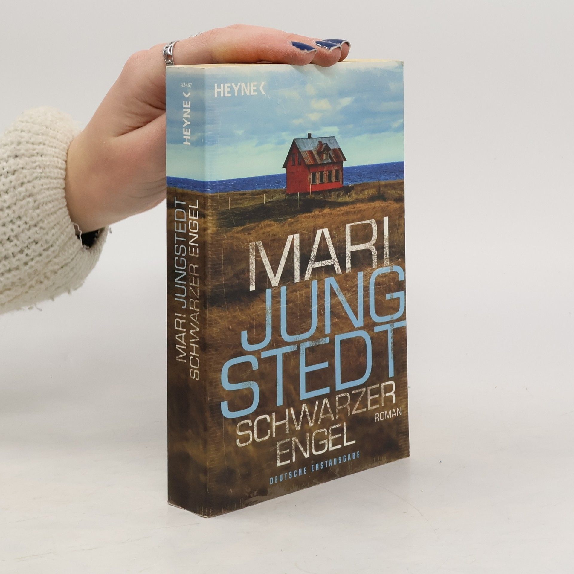 Mari Jungstedt Schwarzer Engel. Roman