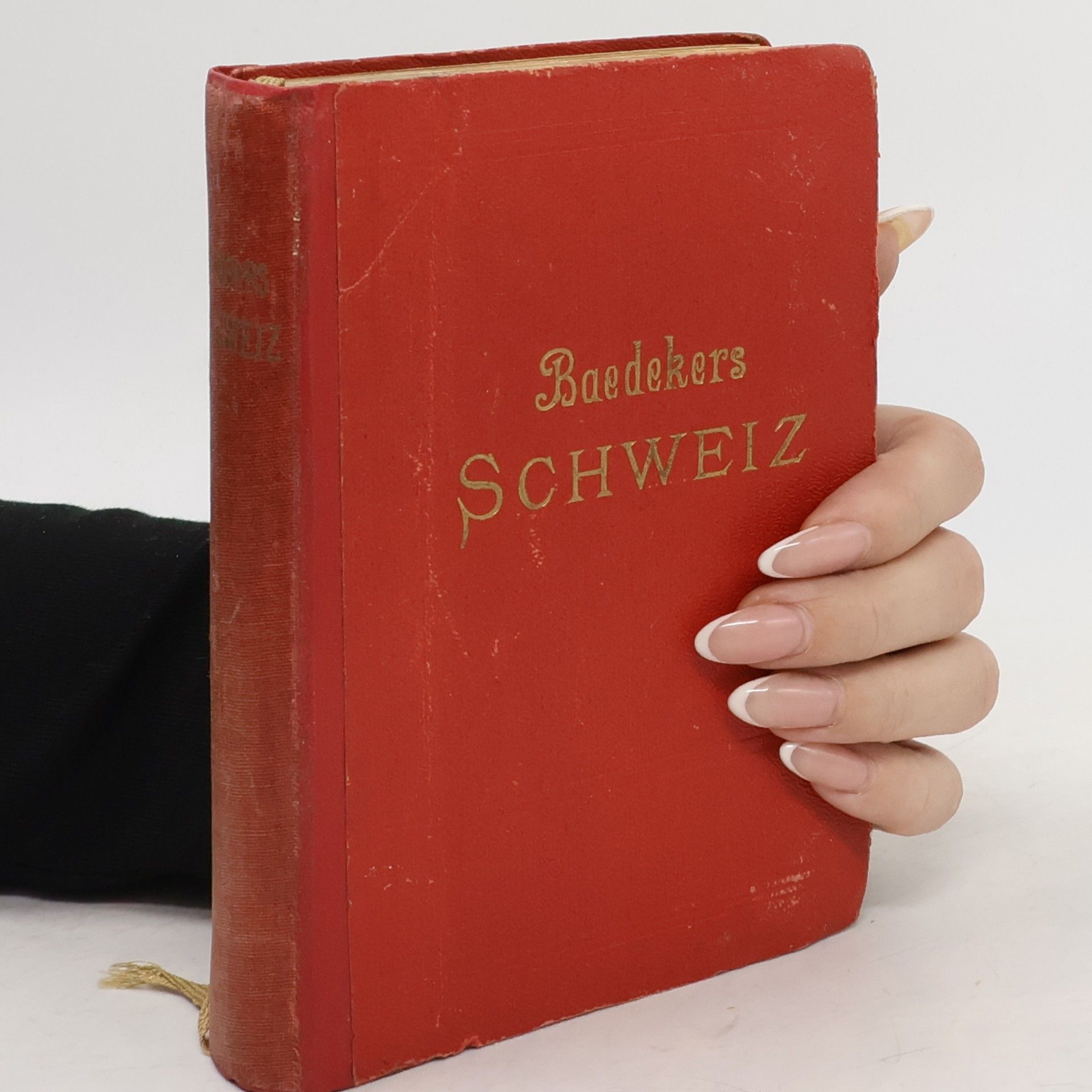 Florian Baedeker Die Schweiz, Nebst Chamonix, Luganer, Langen-und Comer See