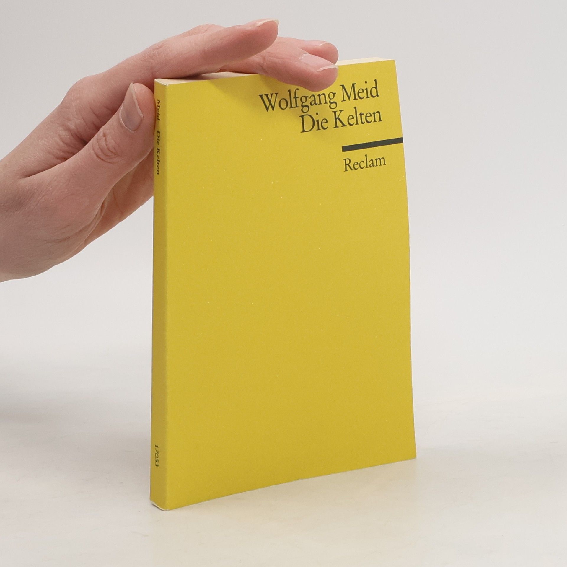 Wolfgang Meid Die Kelten