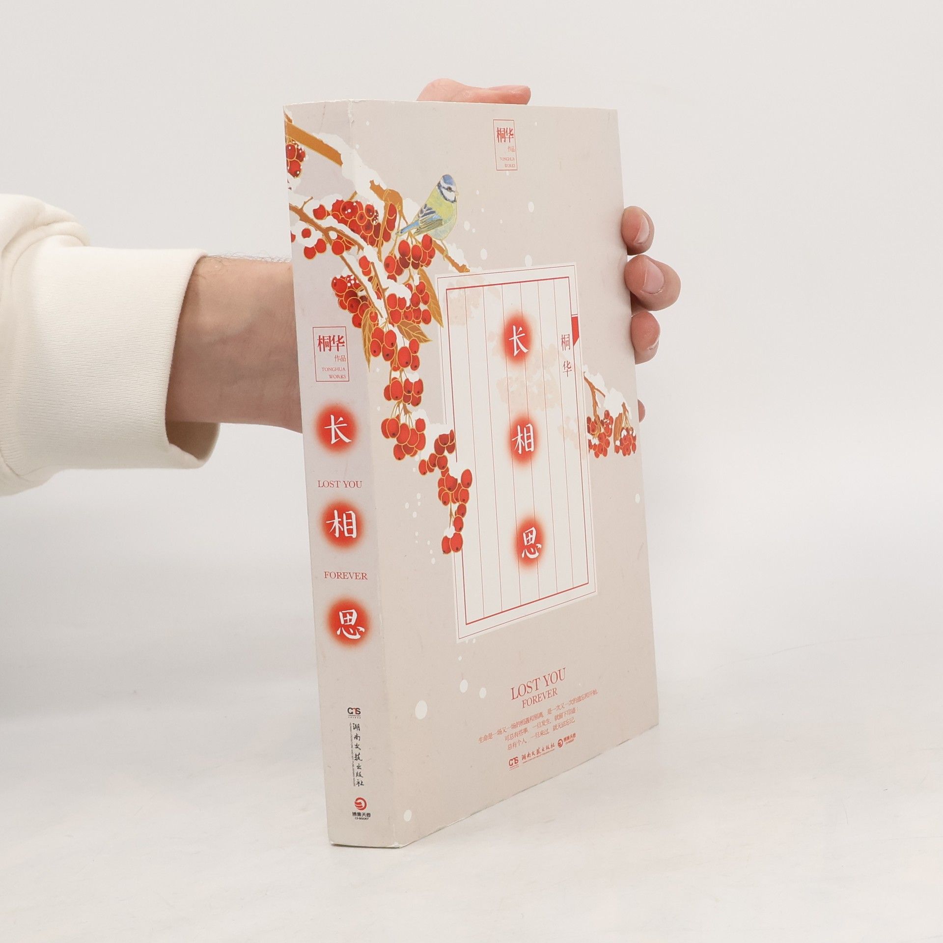 Shang tong wen hua Eternal Love 长相思