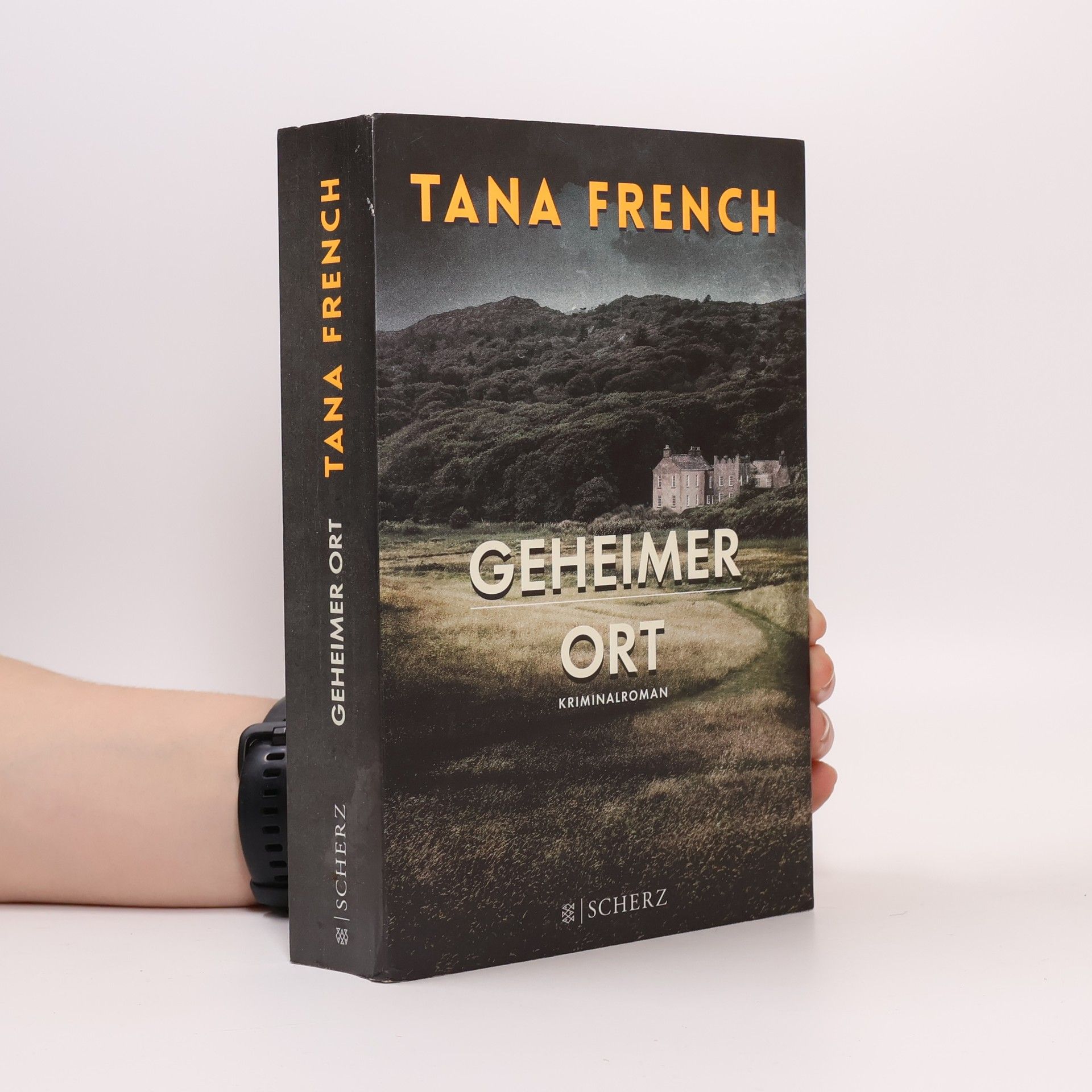 Tana French Geheimer Ort
